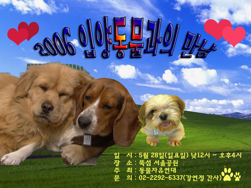[맛배기] 2006 입양동물과의 만남관련^^