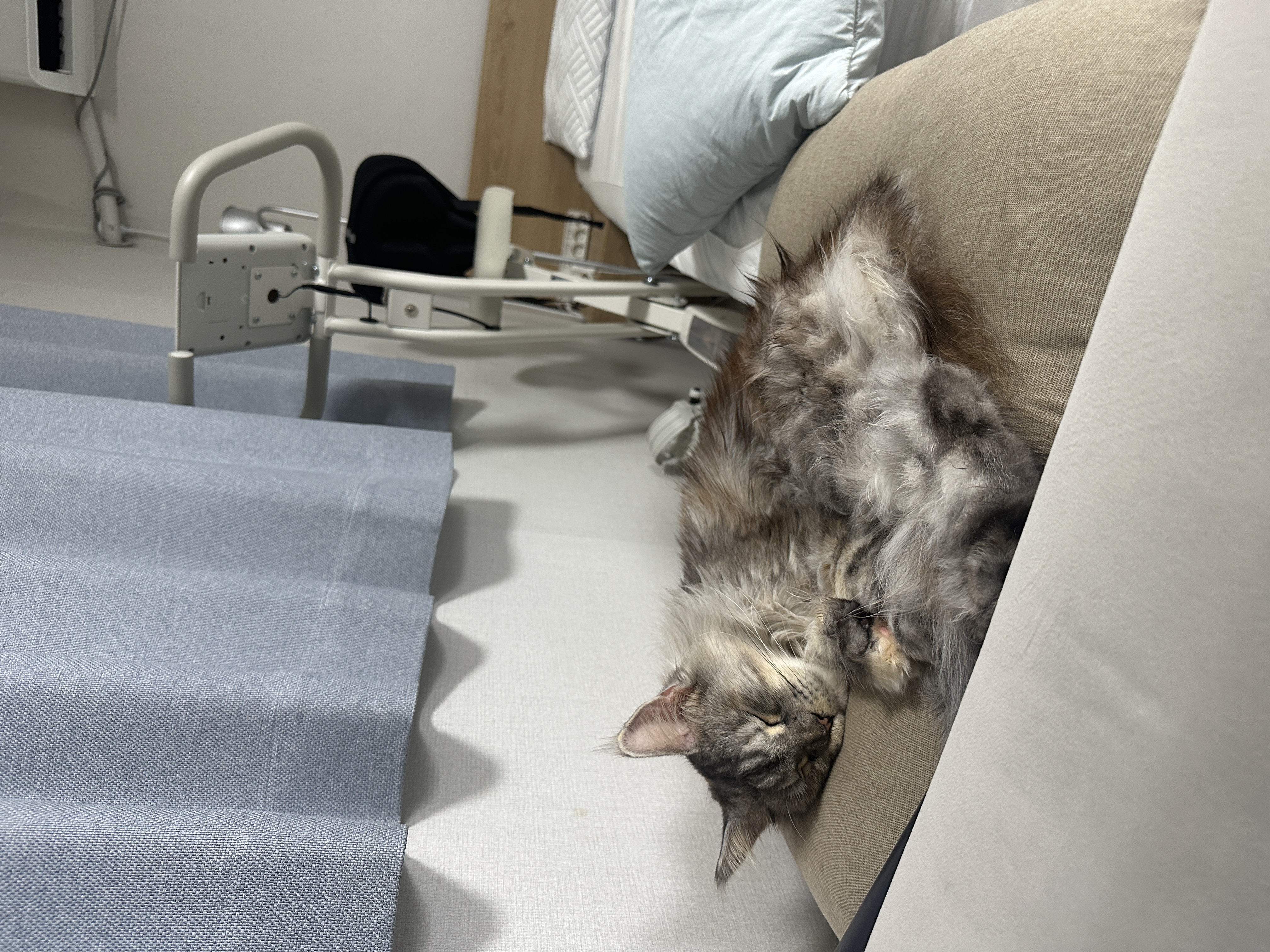 백호야(이쿤이) 한달 후기