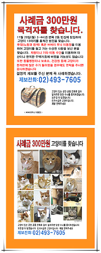 우리 동네이야기