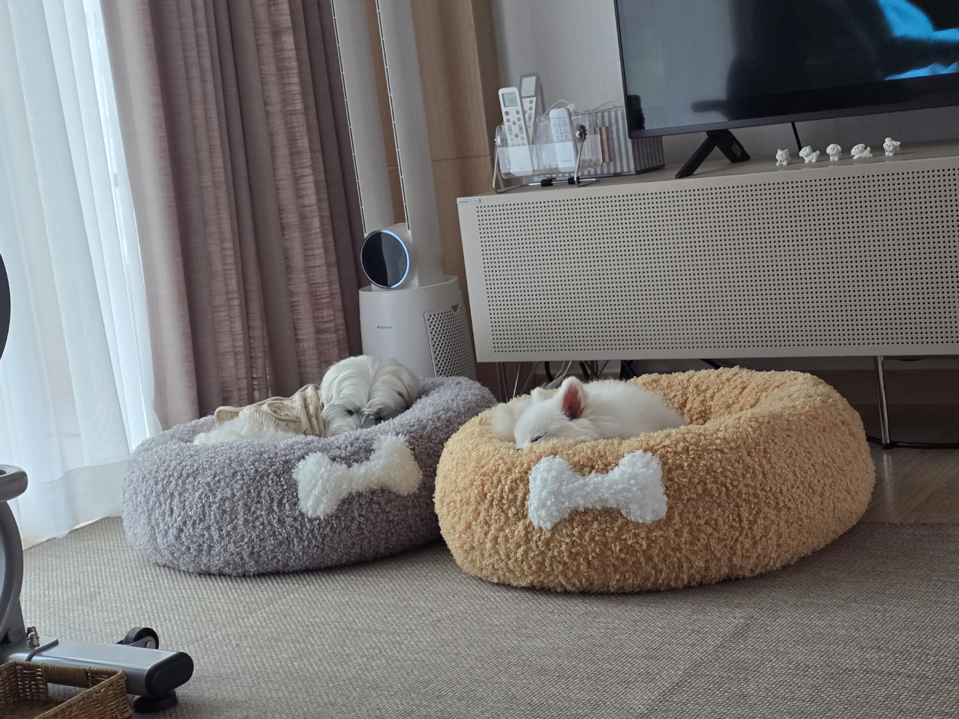 햇밤이와의 우리 세가족 이야기