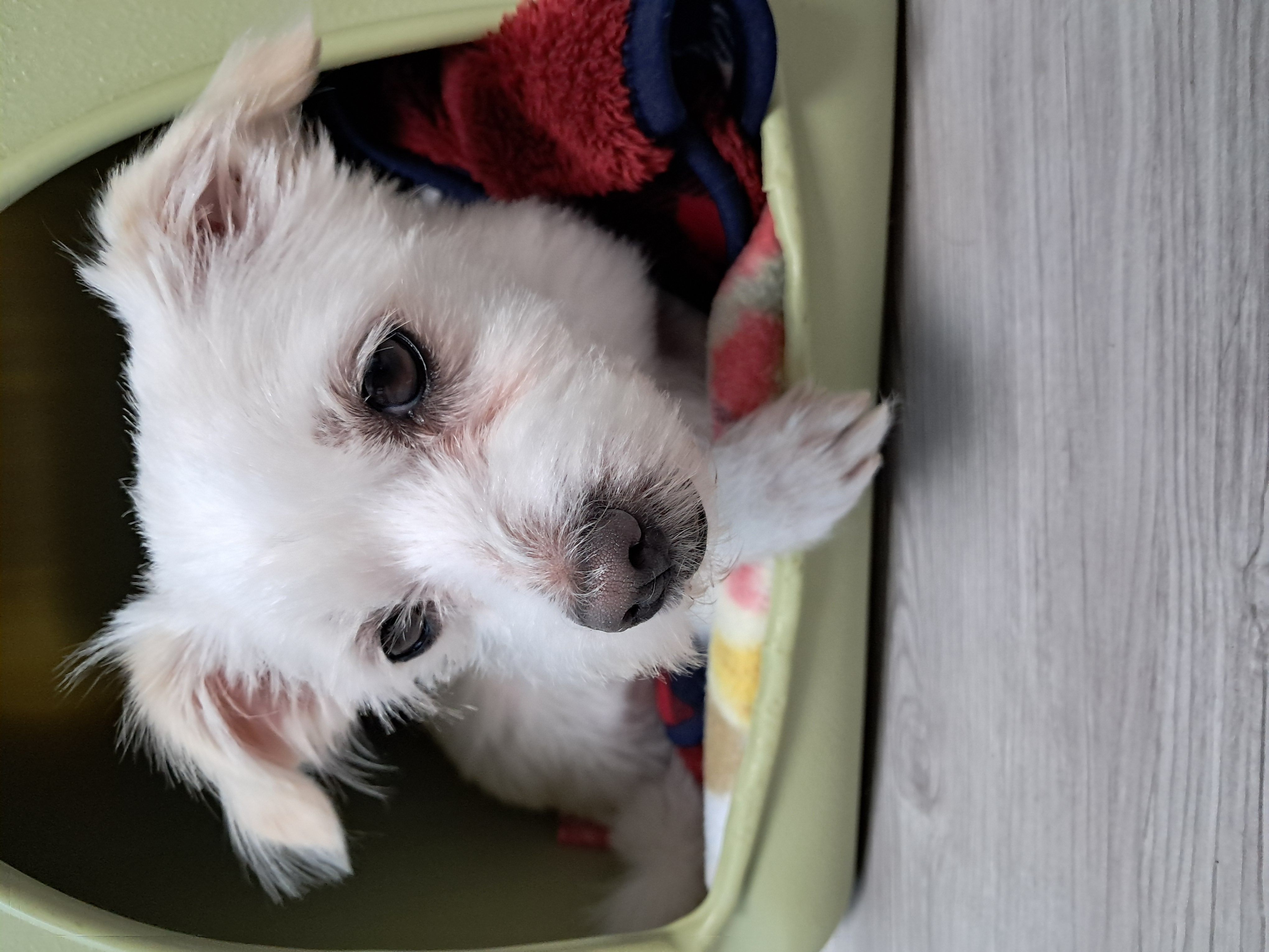 이브(원투) 행복한 시간을 보내고있습니다.