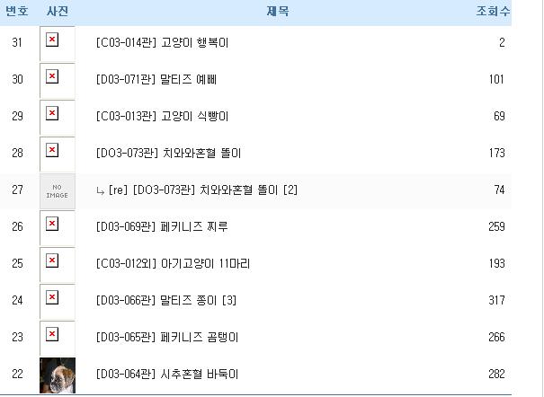 미니핀 깜이가 두 달만에 돌아왔습니다...