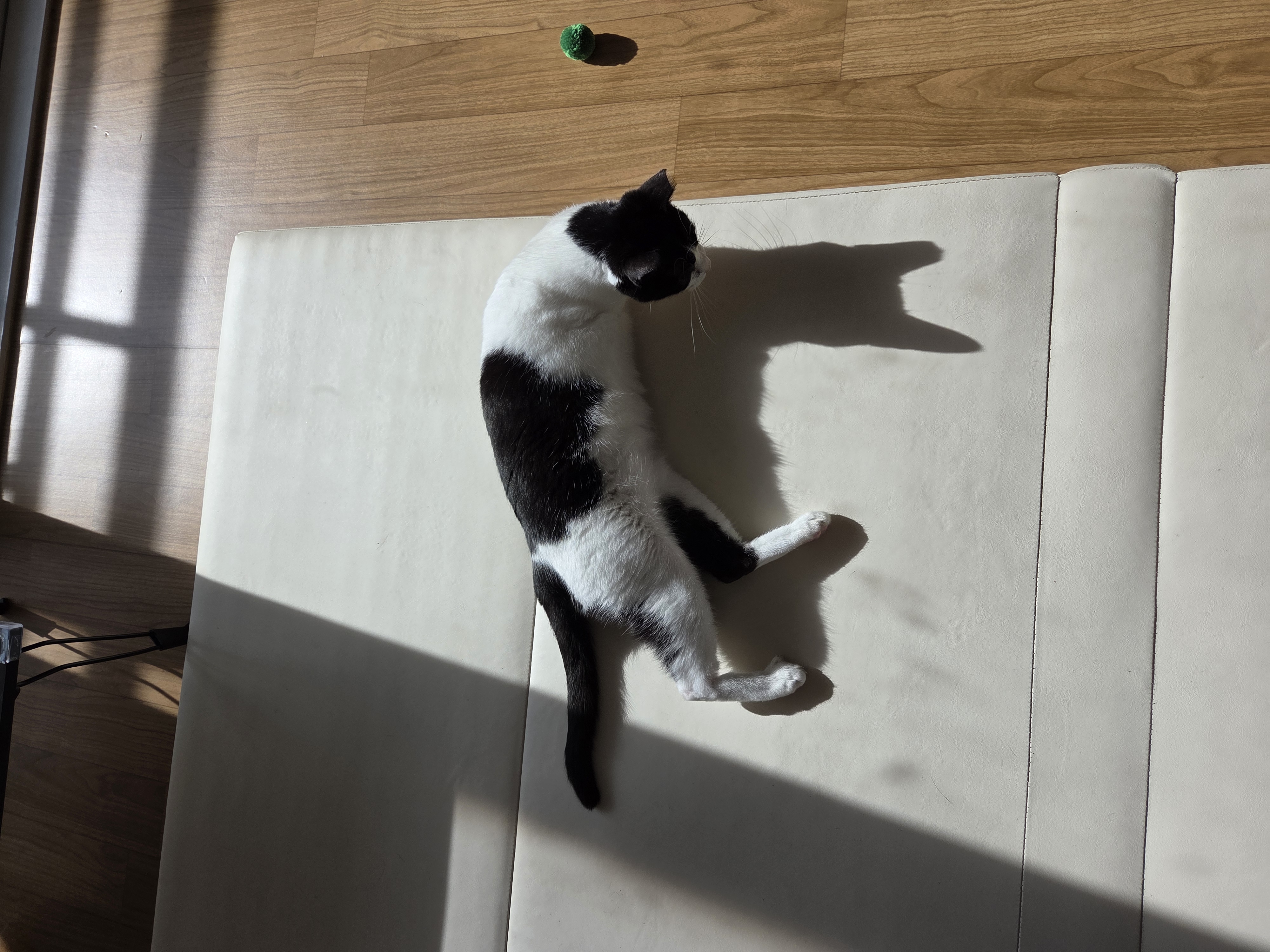 바담이 1년 후기