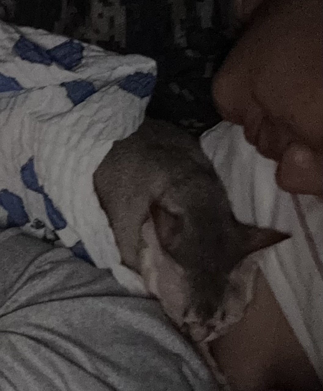 집냥이 한달 차 보리(울산 구조묘 순이)