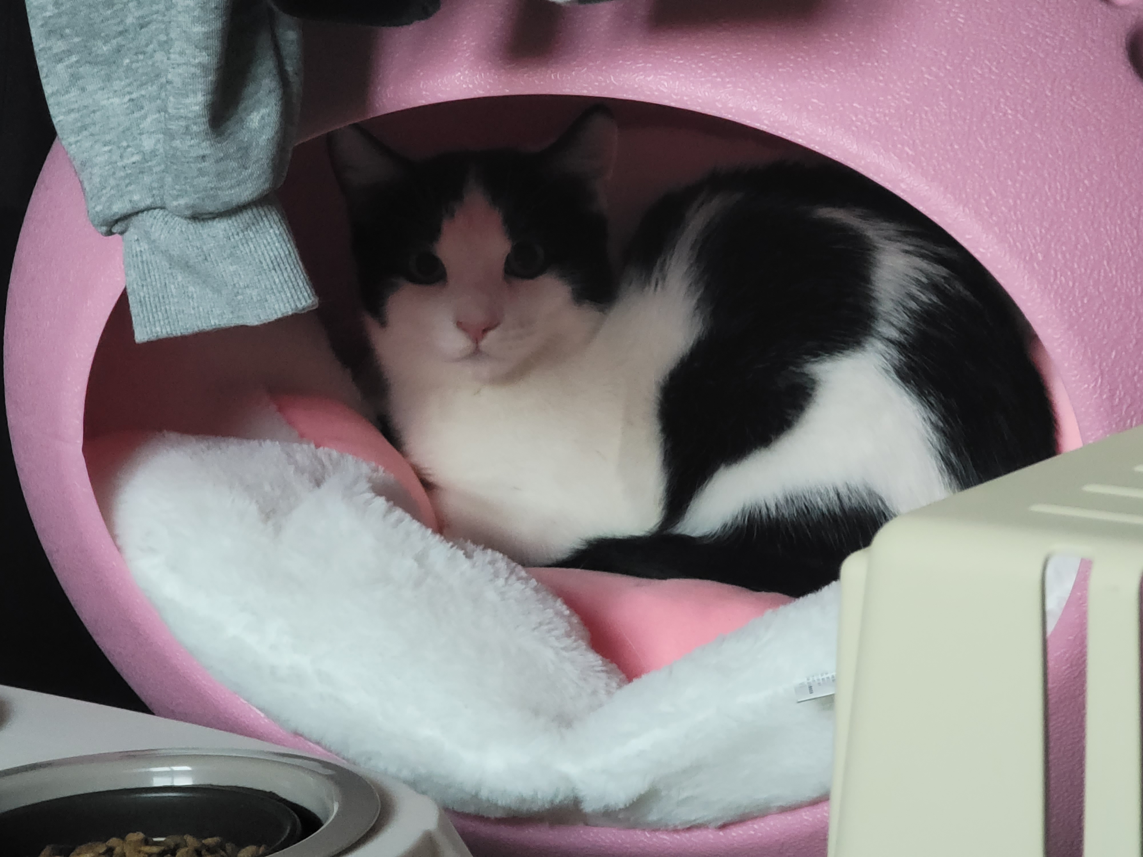 우주는 조금씩, 그러나 열심히 탐색과 적응을 하고 있습니다.