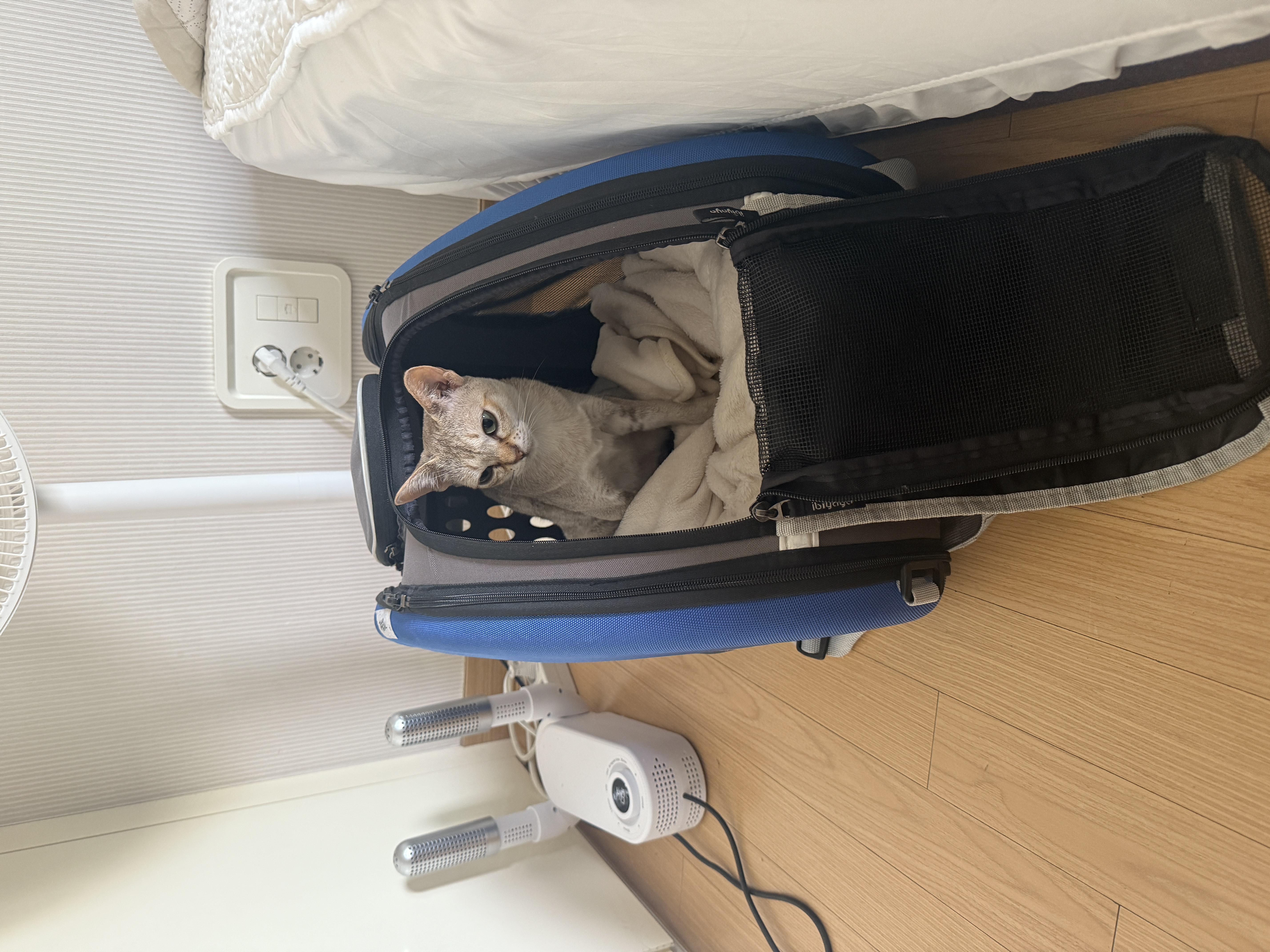 또봉이&#40;이요&#41;3개월 후기