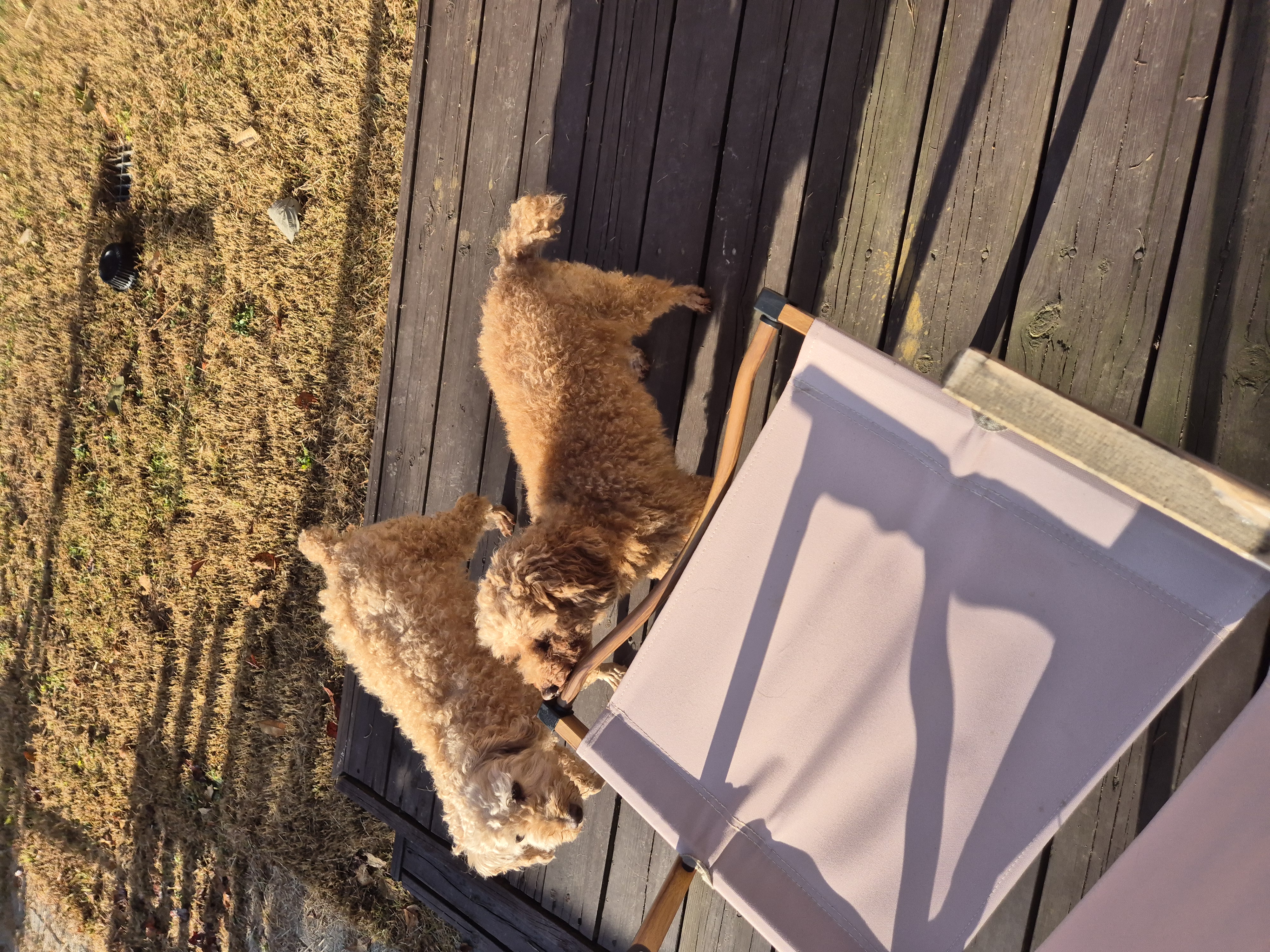 해랑이와 배순이