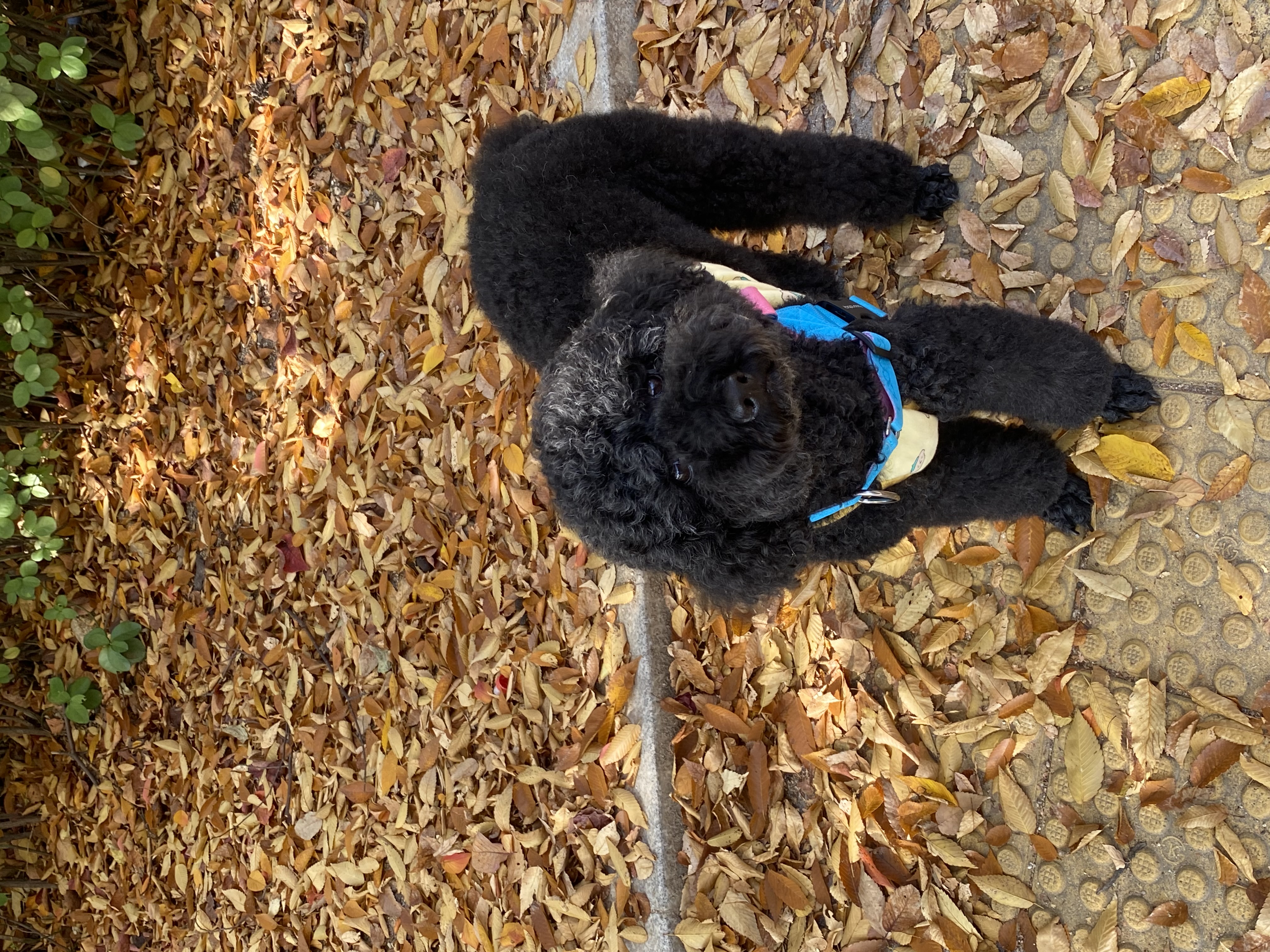 헤라와 함께한 너무 소중한 시간