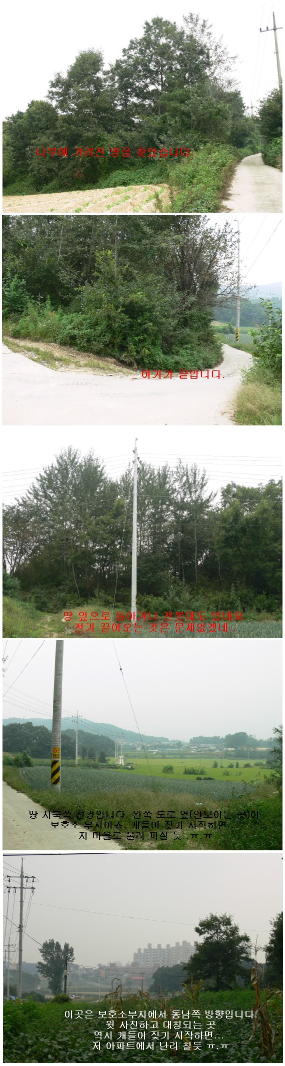 짠~~! 보호소 물망에 오른 땅.. (그러나...)