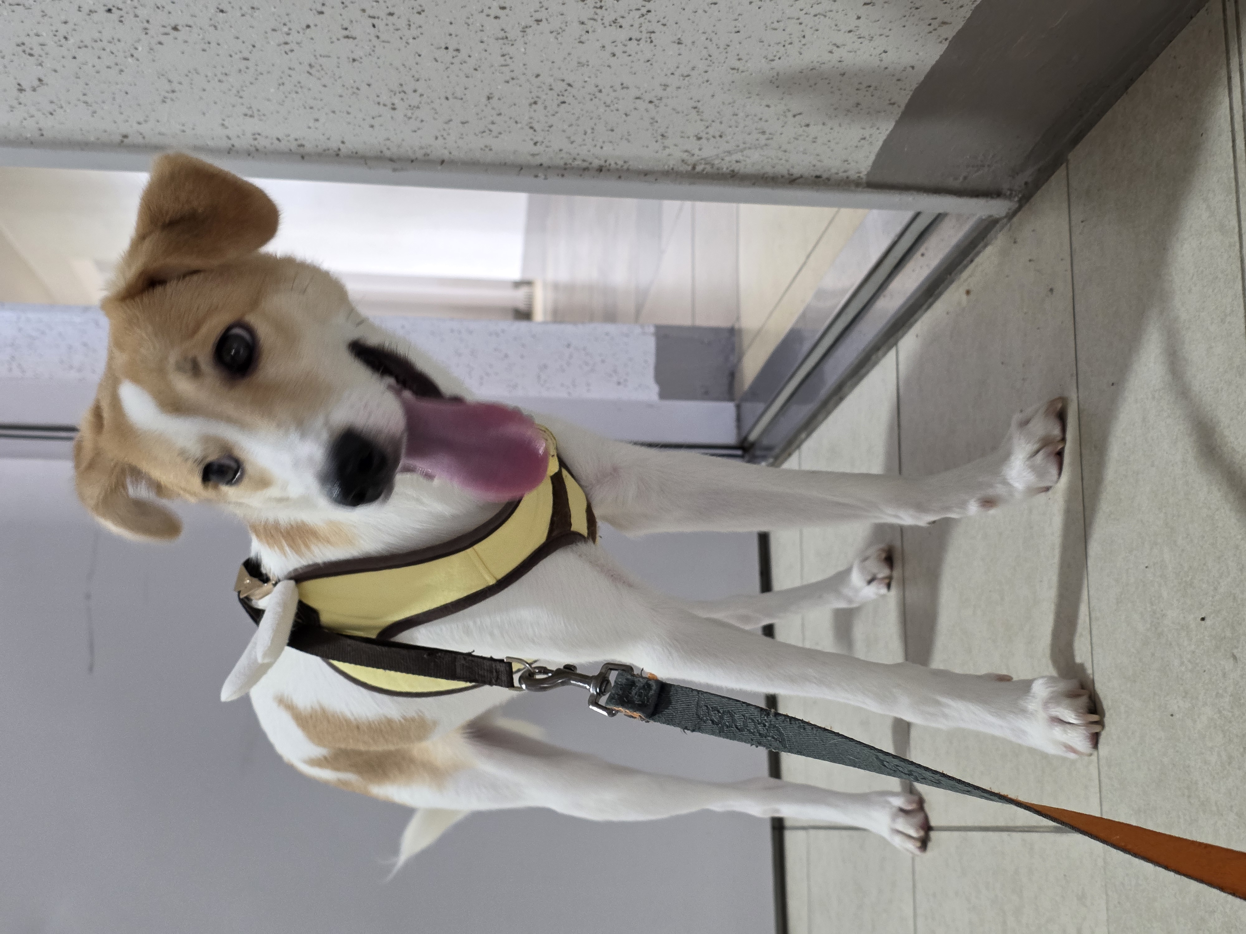 모디 일상을 공유해드려요