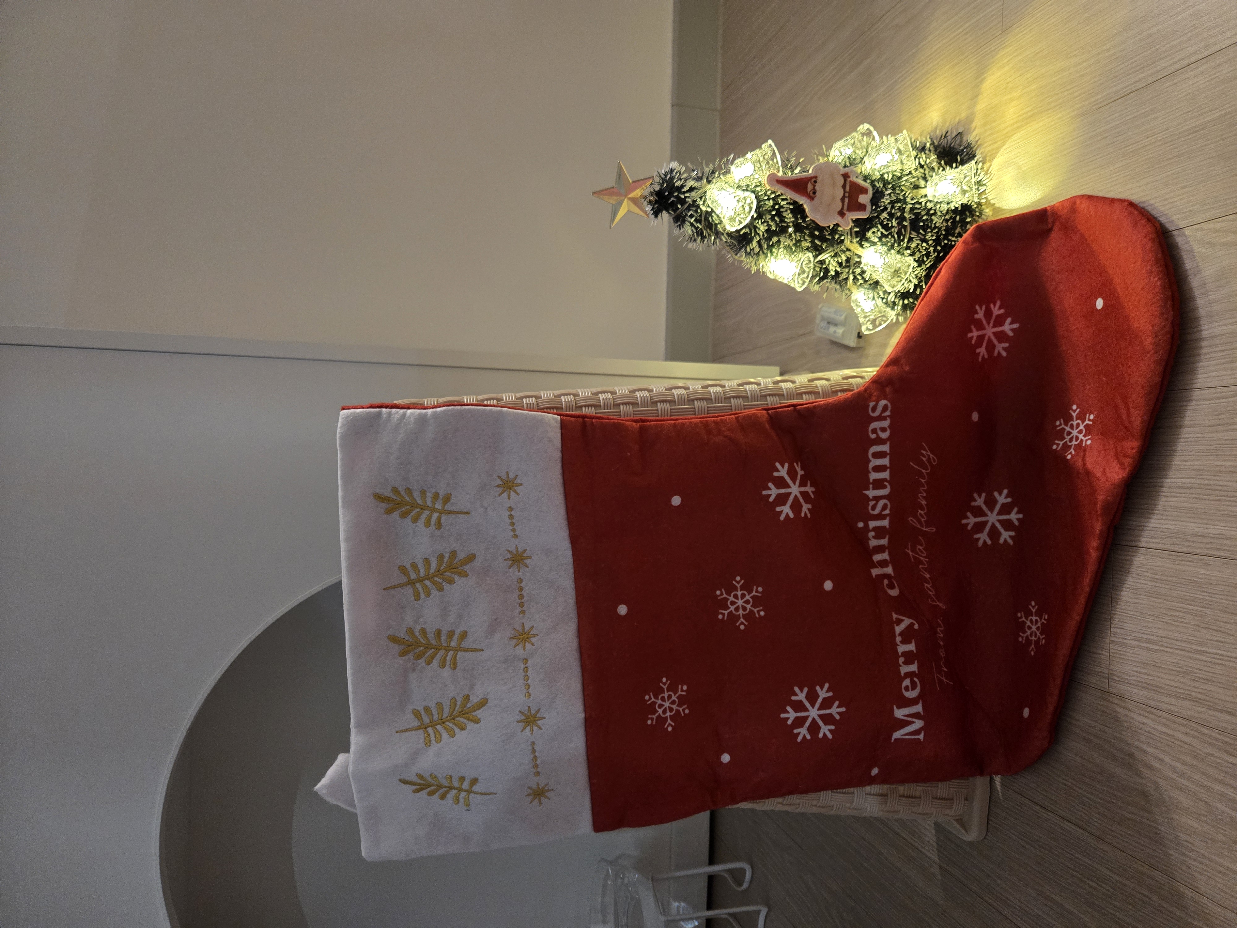 미야오(마시) 동자연에 활동가분들과 동물친구들 메리크리스마스♡