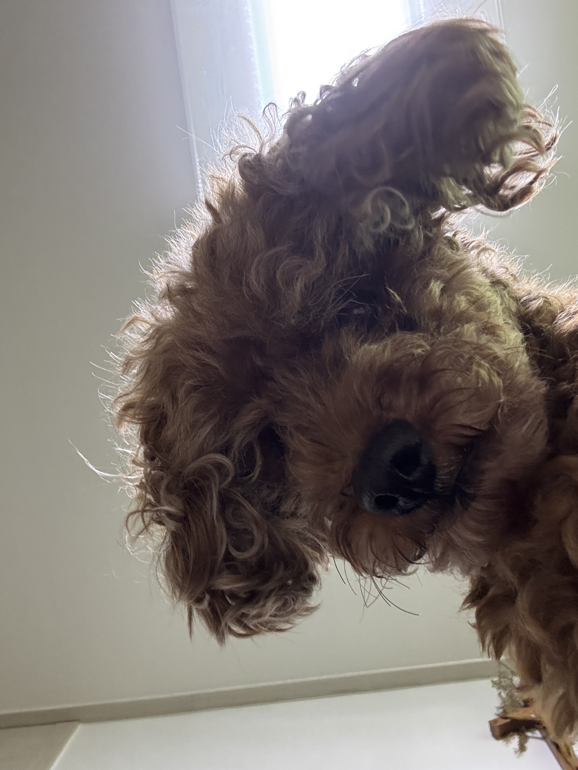 보사의 예방접종 ~ 