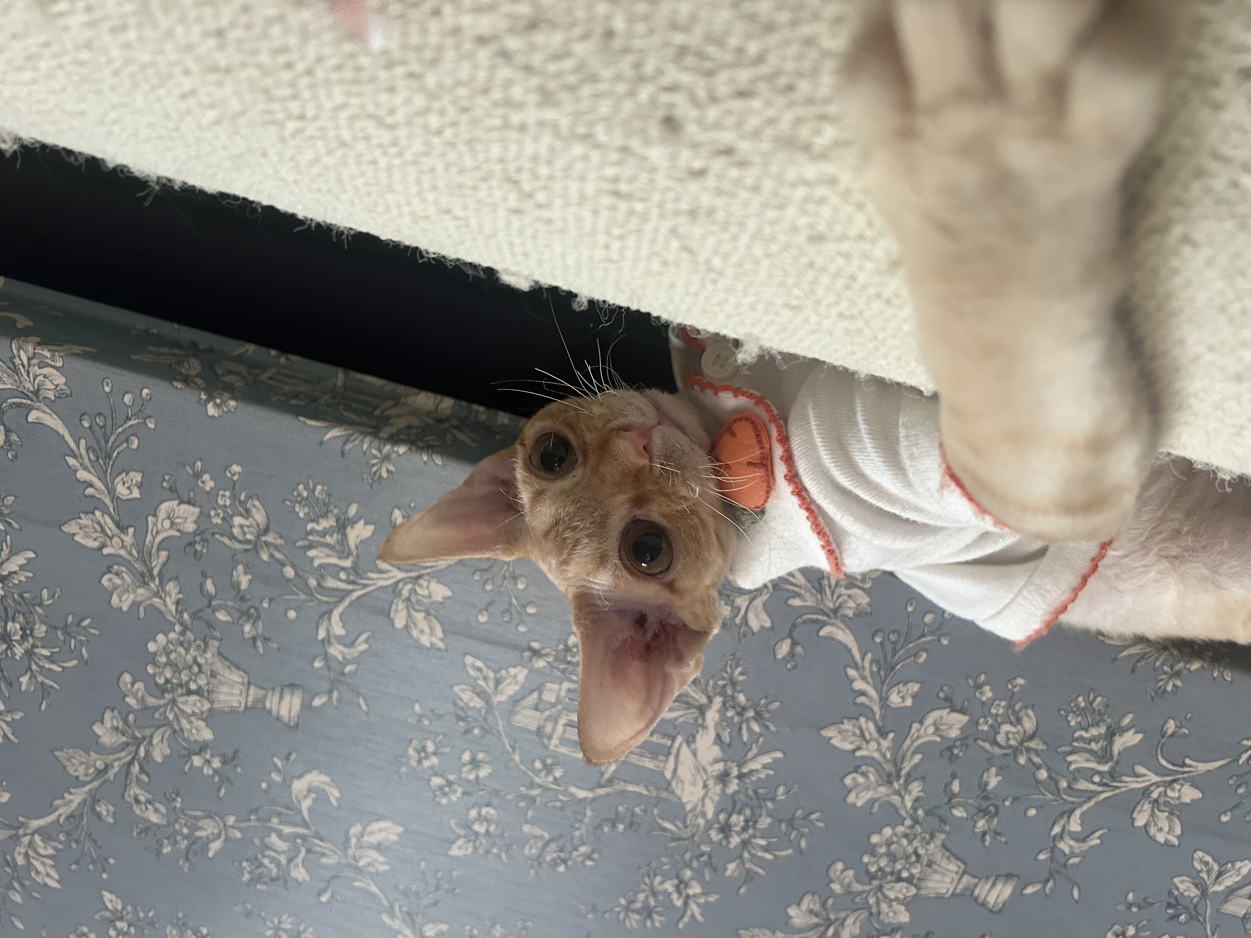 복만이(던노)가 막내가 된지 3개월🤭