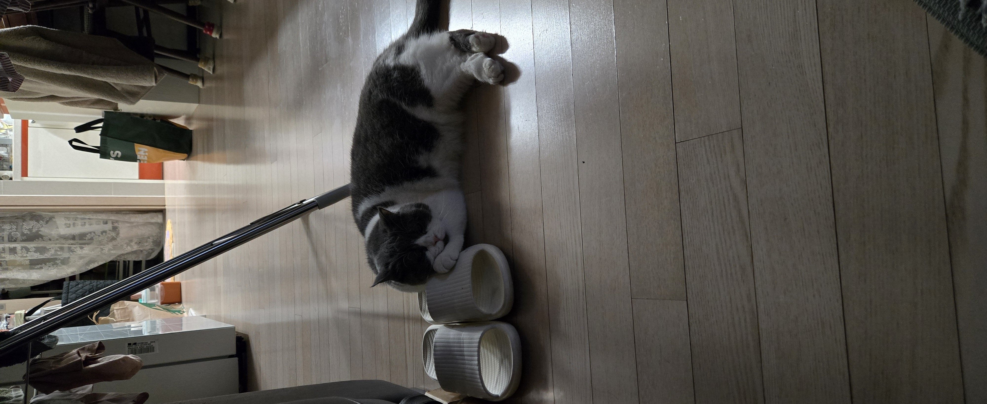 여전히 행복한 흑당 흑마늘입니다