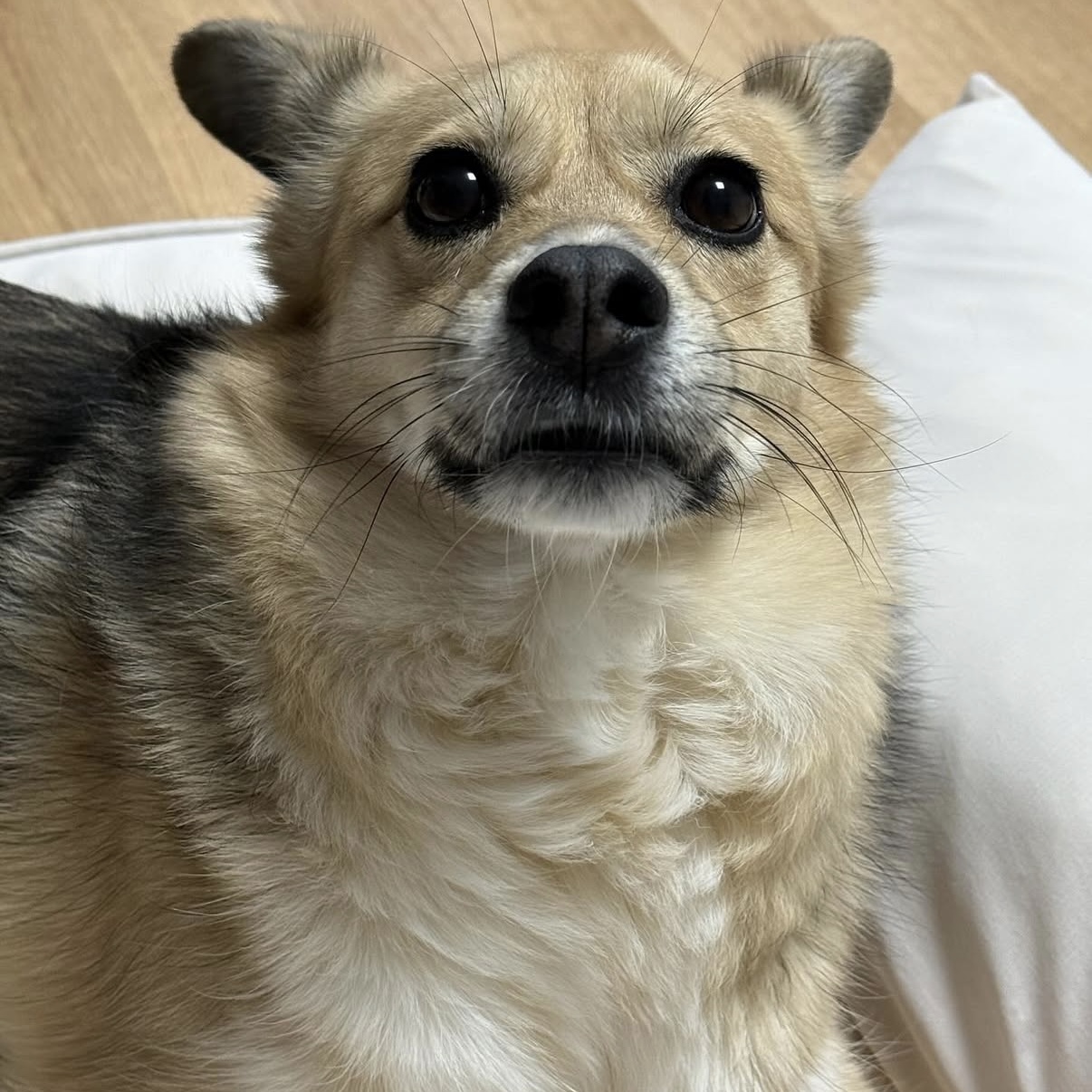 지구와 같이 지낸지 4년이 지났어요.