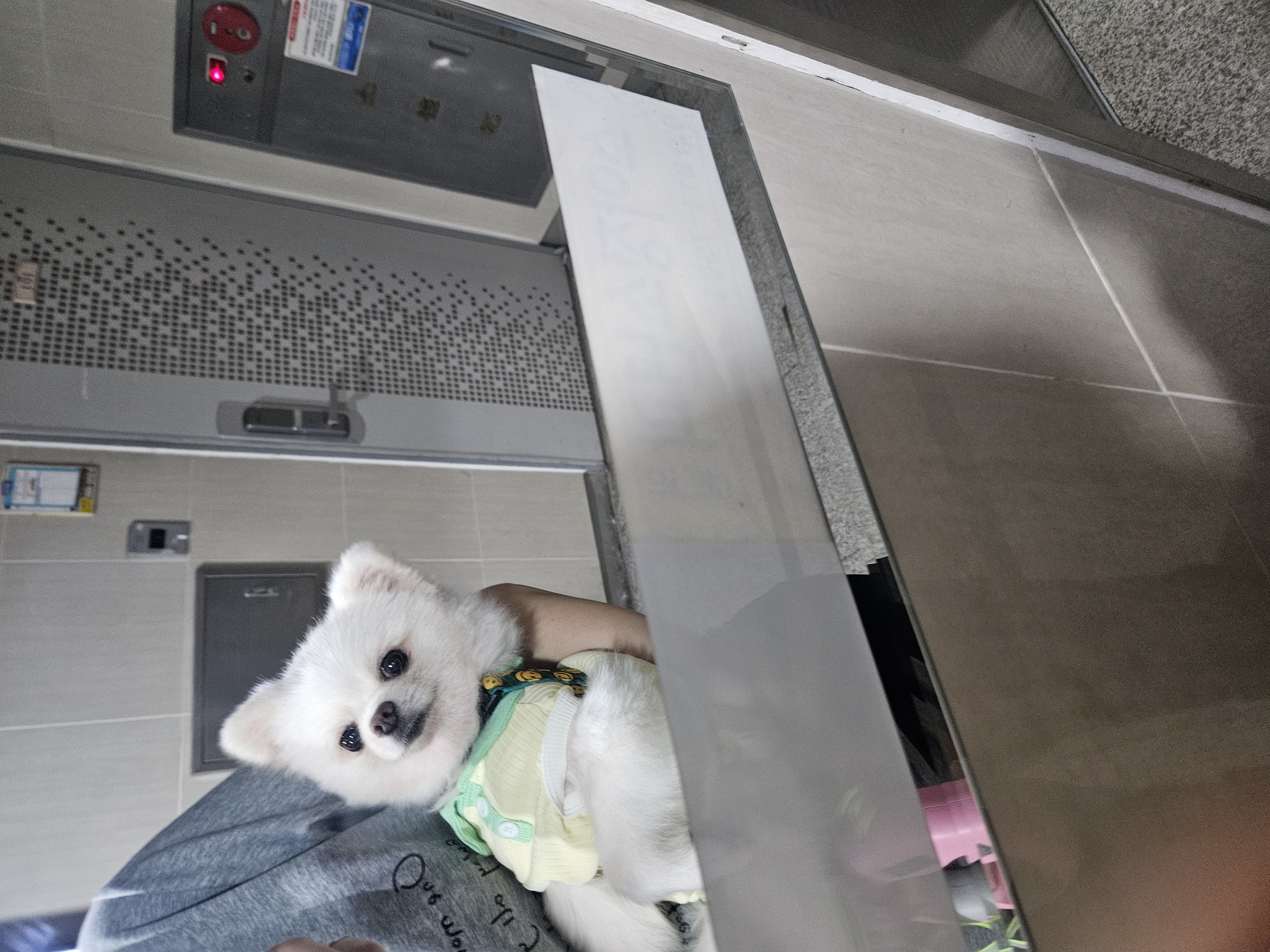 나루(구 빙봉) 일주차 후기