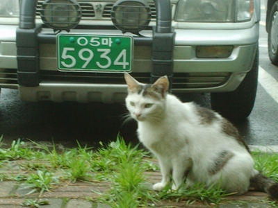 별 미친 인간이 다 있네요.