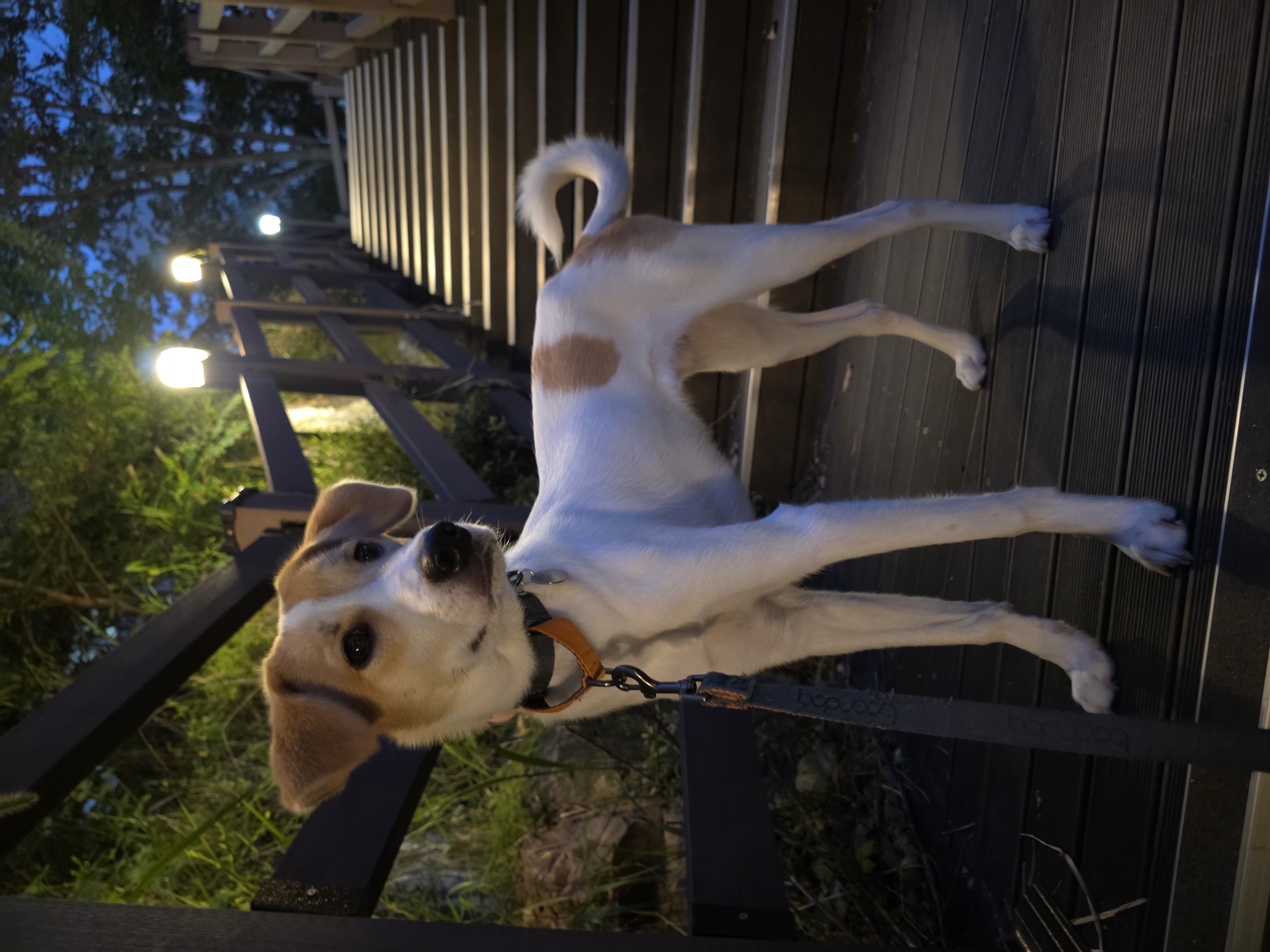 모디 일상을 공유해드려요