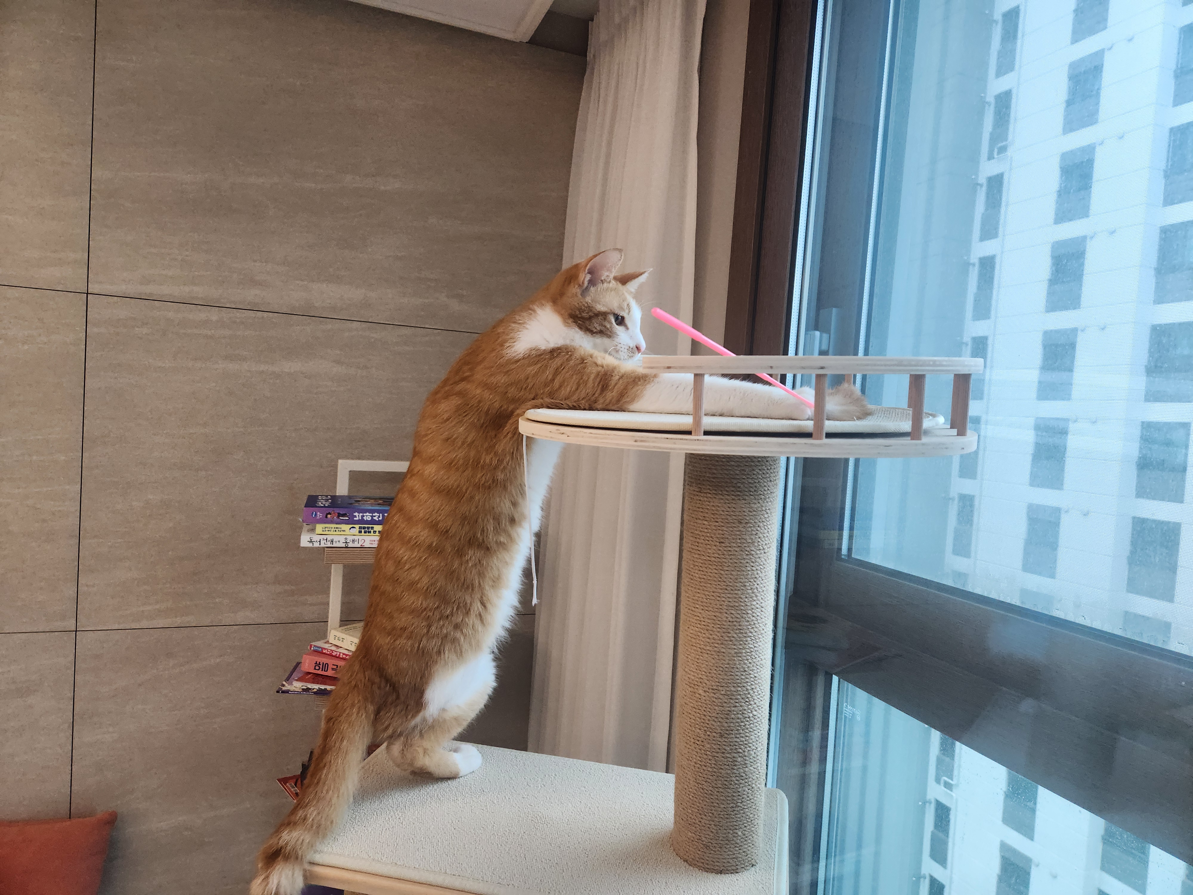 오들이와 함께한 3달 