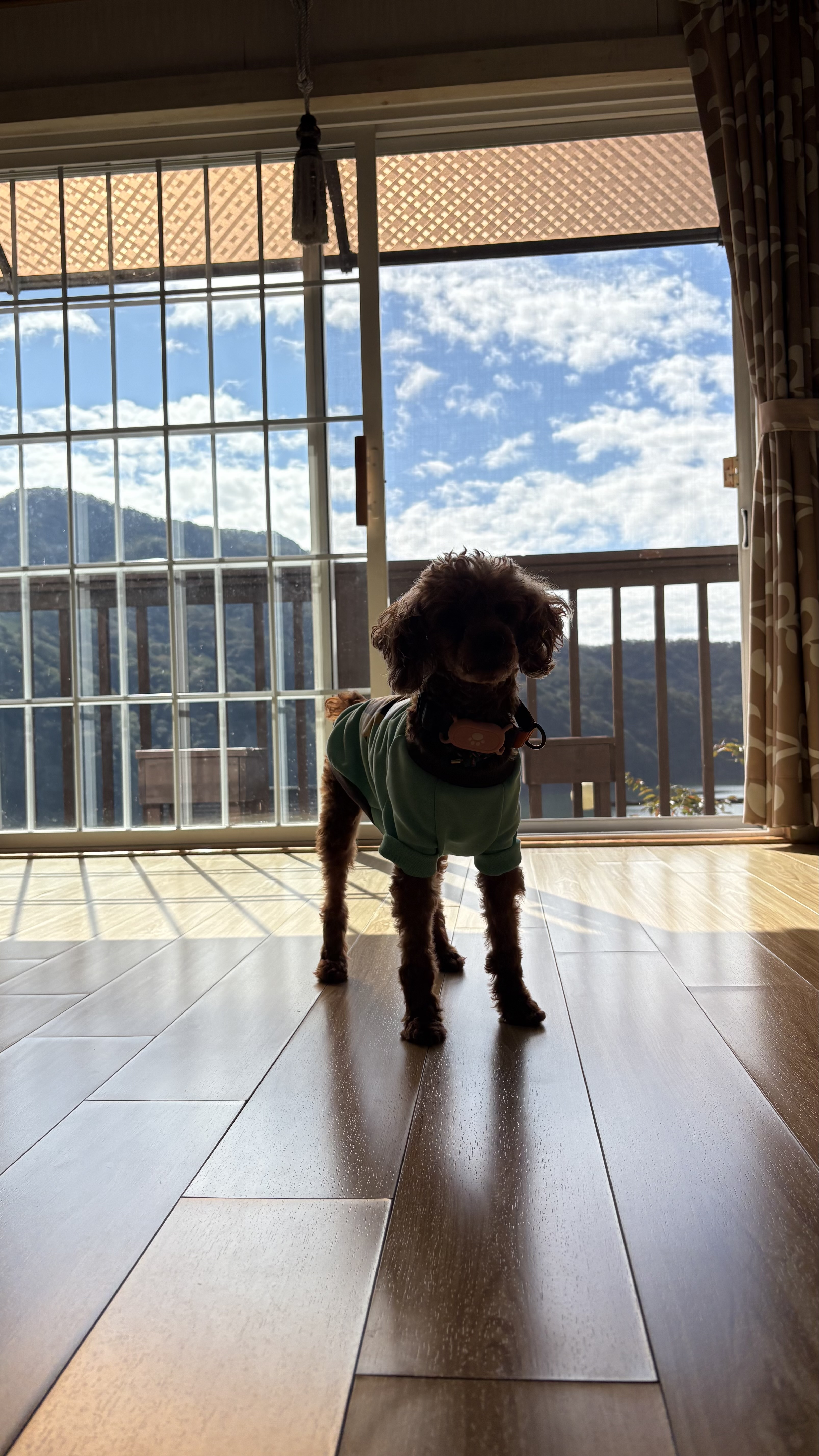 보사의 첫 가족여행~~