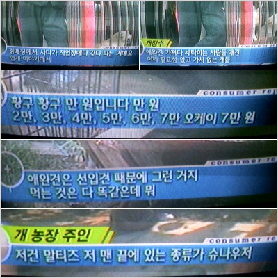 화도나구 눈물도 납니다....