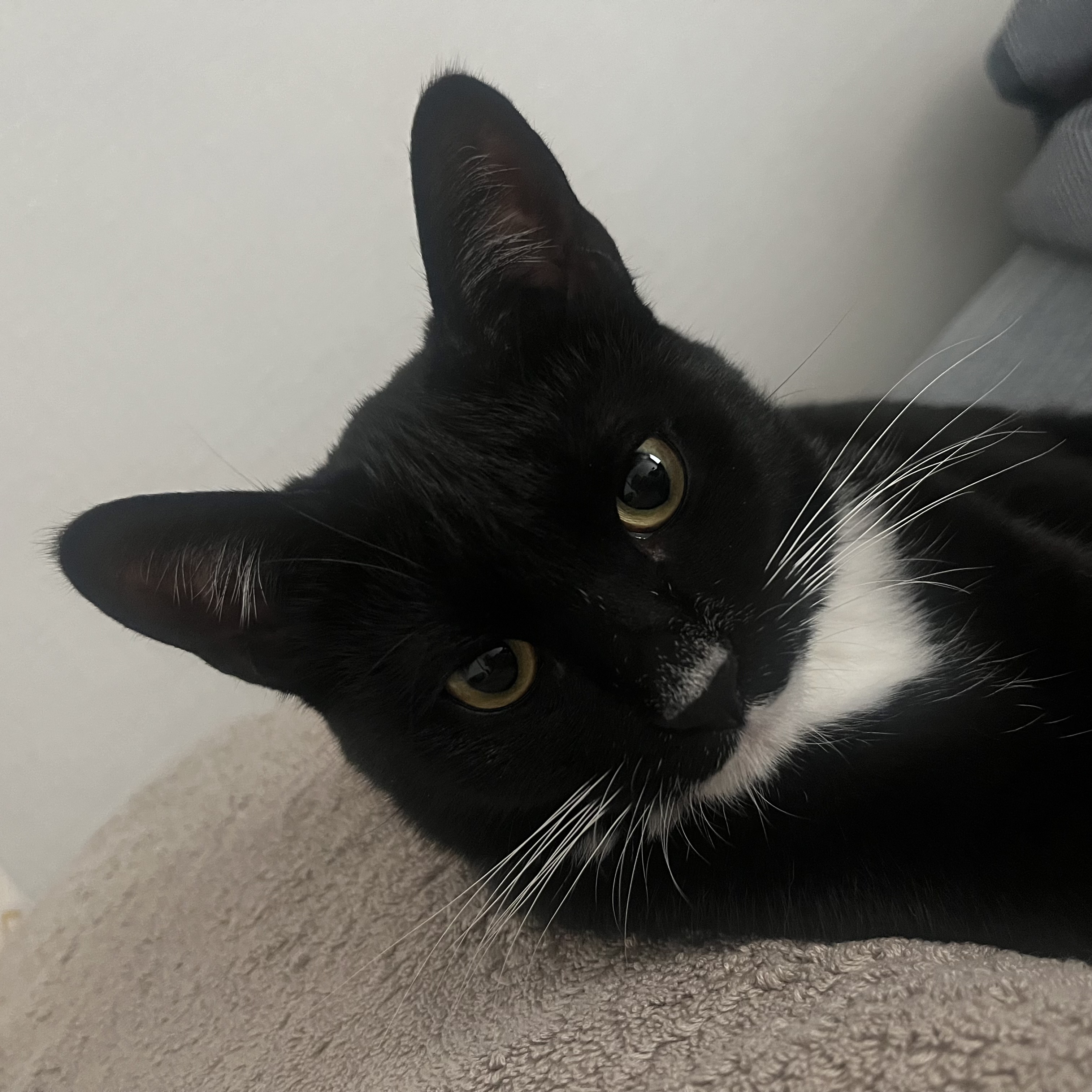 까미 1년차 후기