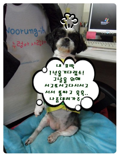 입양동물의날 장소 추천해 주세요!!