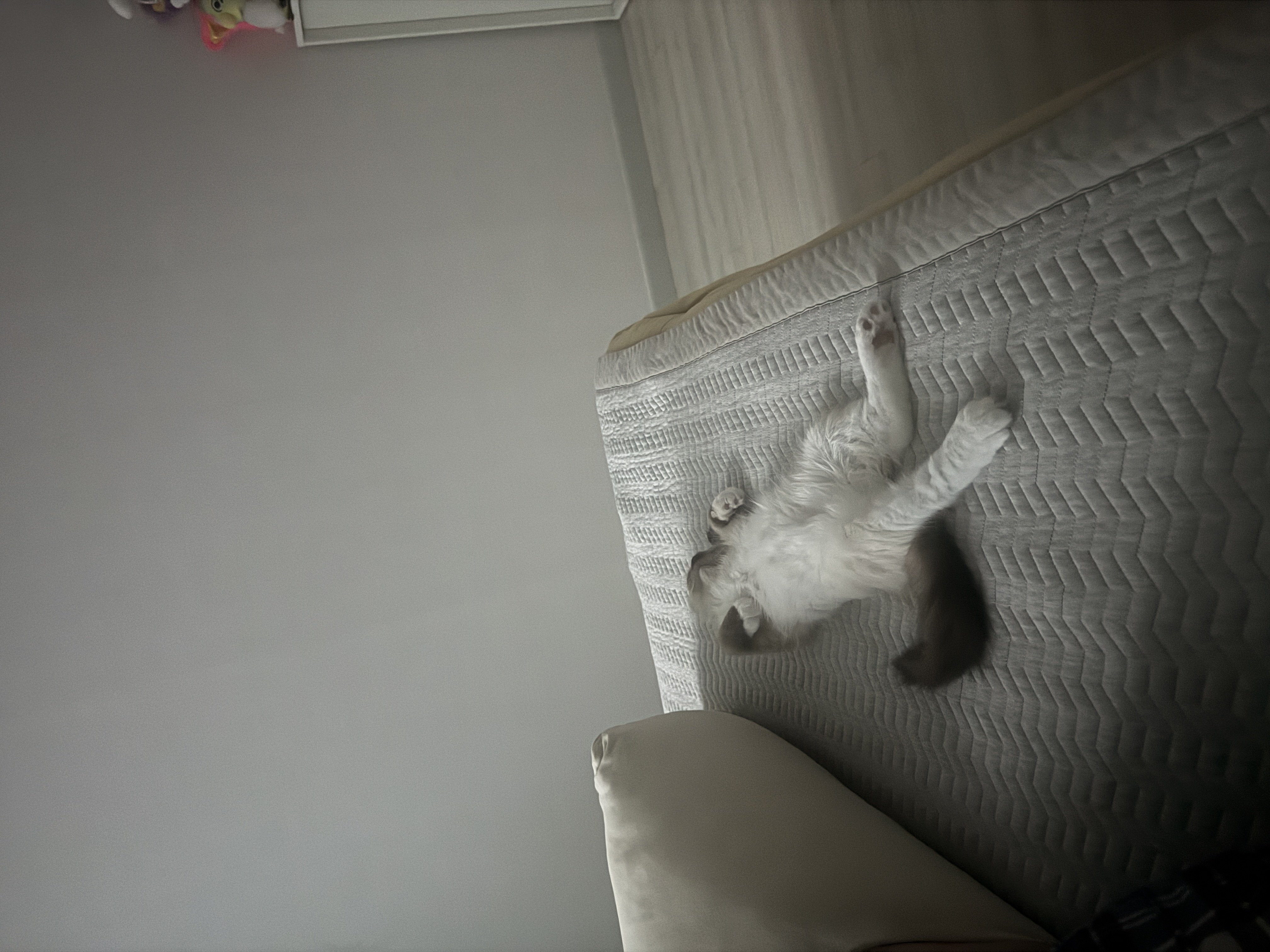 탄코(울산 구조묘 동오)와 함께한 한달