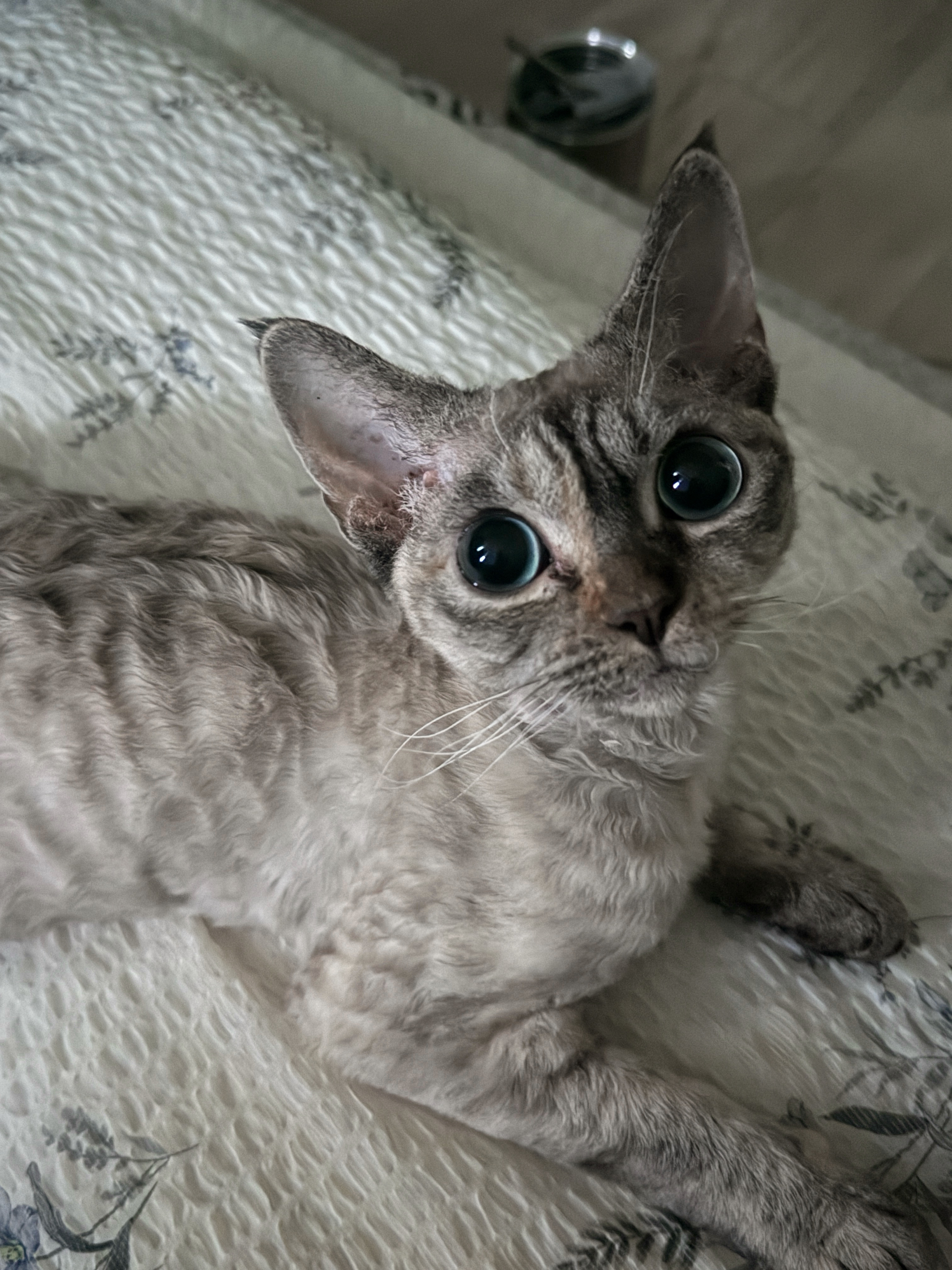 새로의 3개월차♡ 