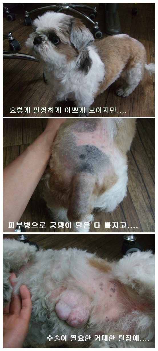 만돌아 ~~~ 만돌아 ~ ㅠ.ㅠ