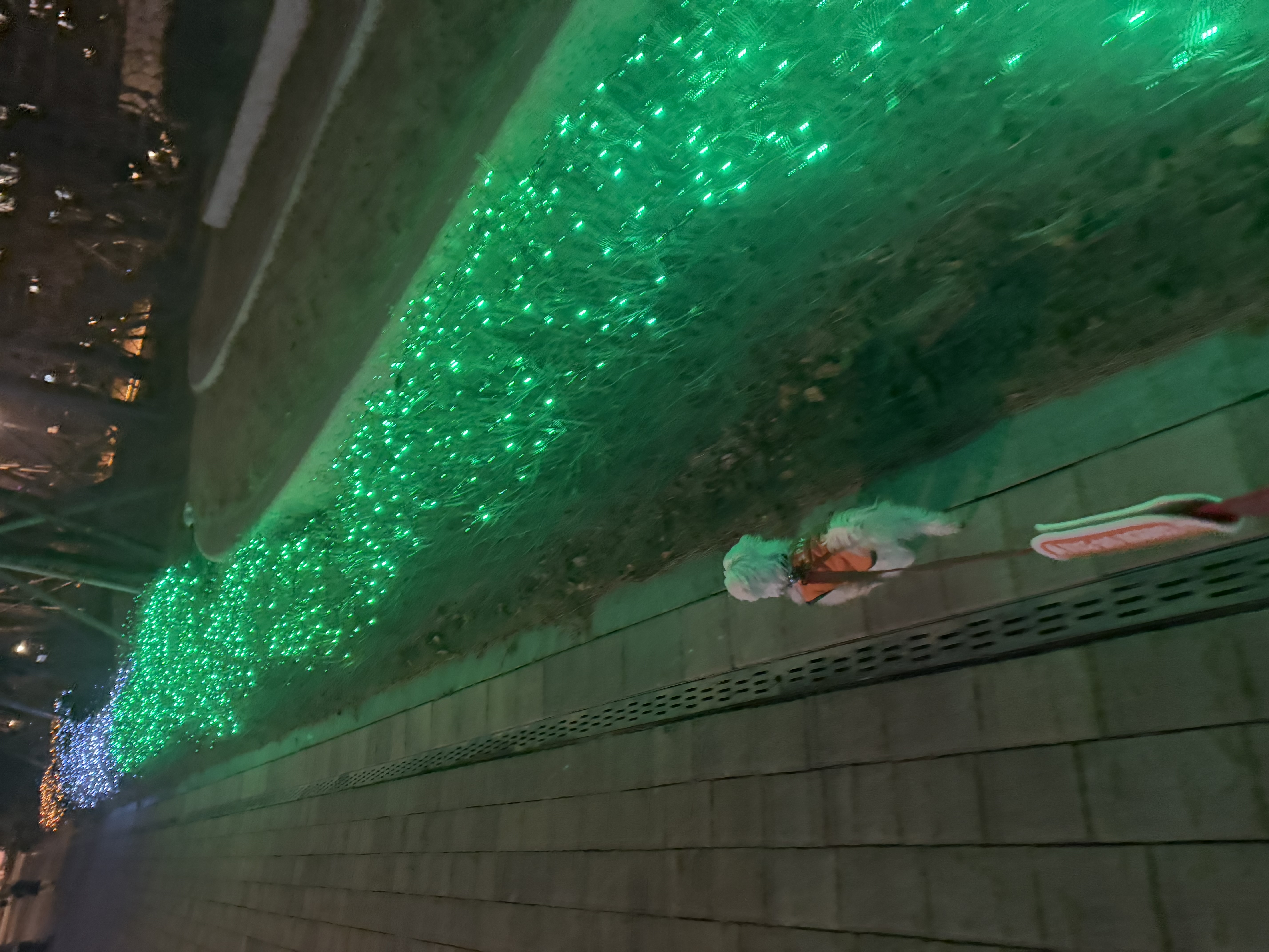 츄츄 와의 일상