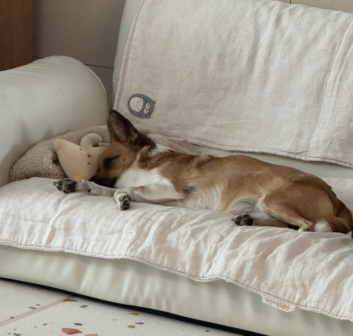 보나(은일이) 5주년