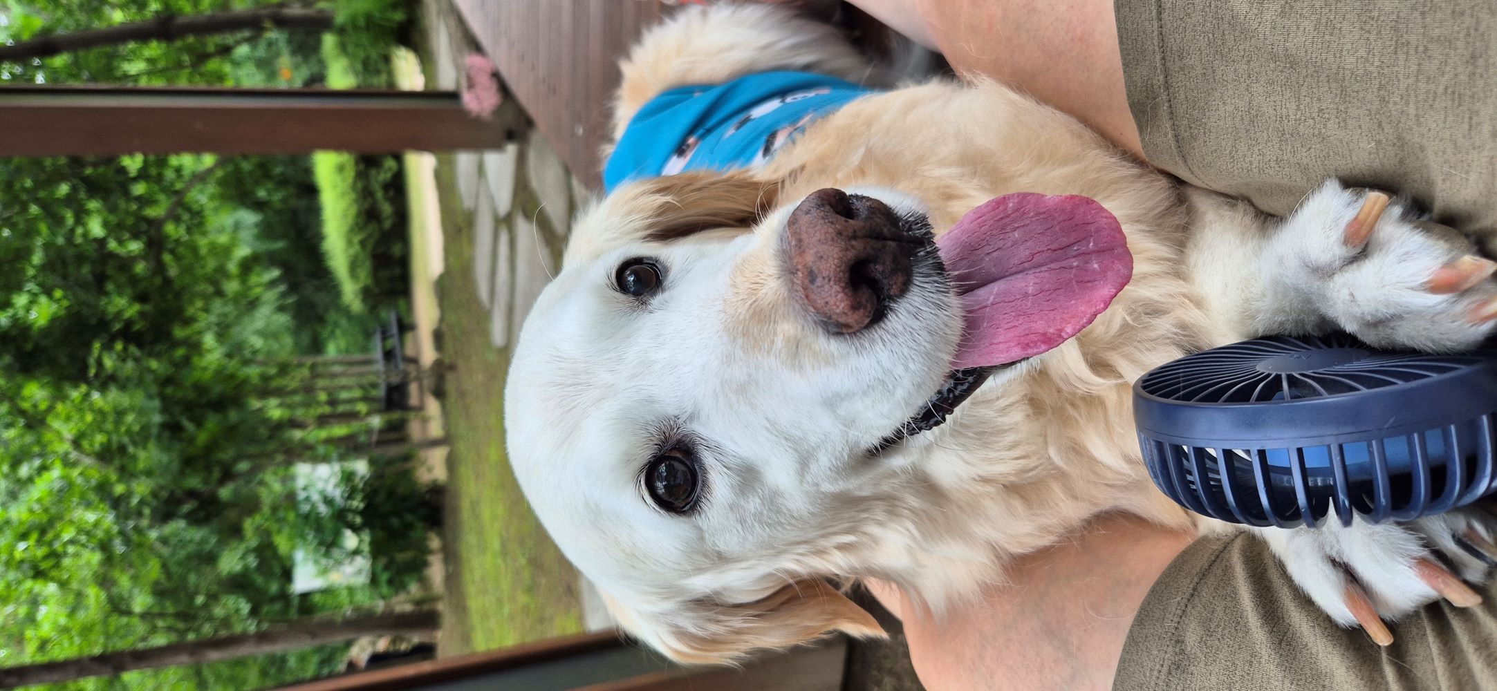 (호박) 호박이가 혼자 소풍을 떠났습니다.