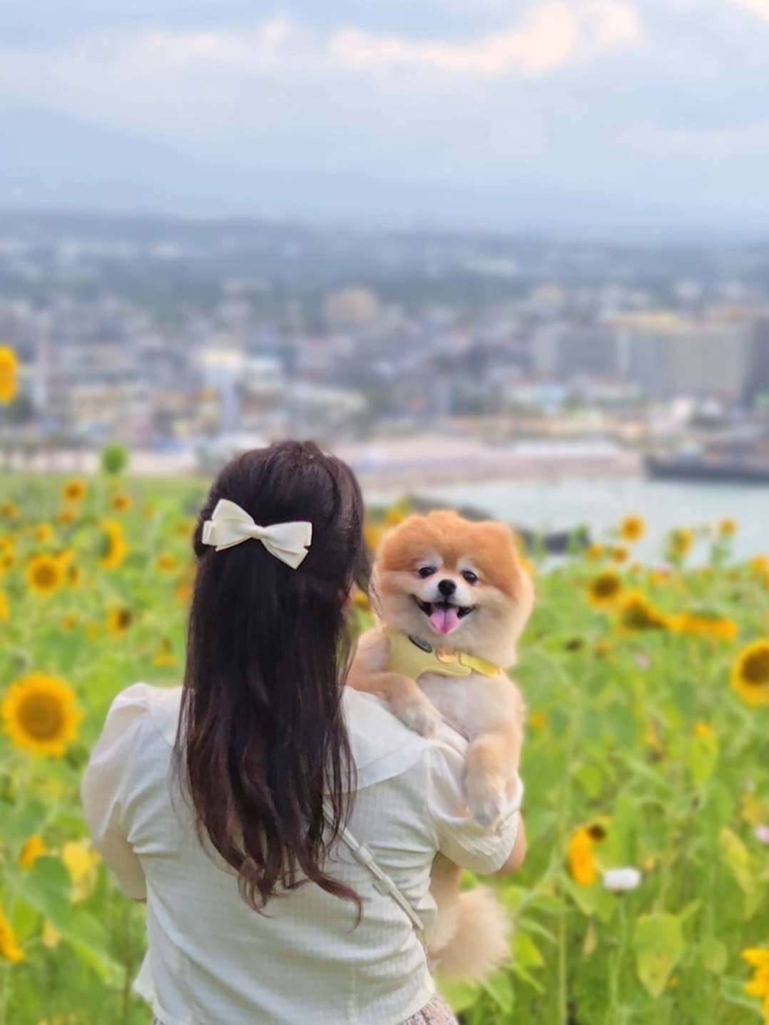 뽀심이(동식이) 입양 후 2년 후기입니다!!