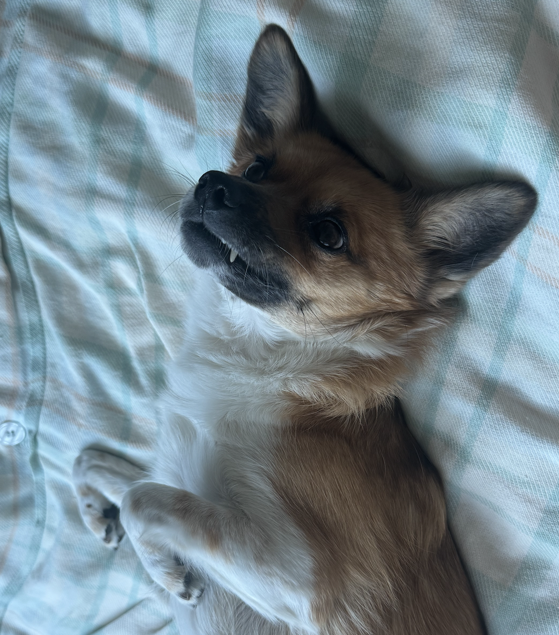 보나(은일이) 5주년