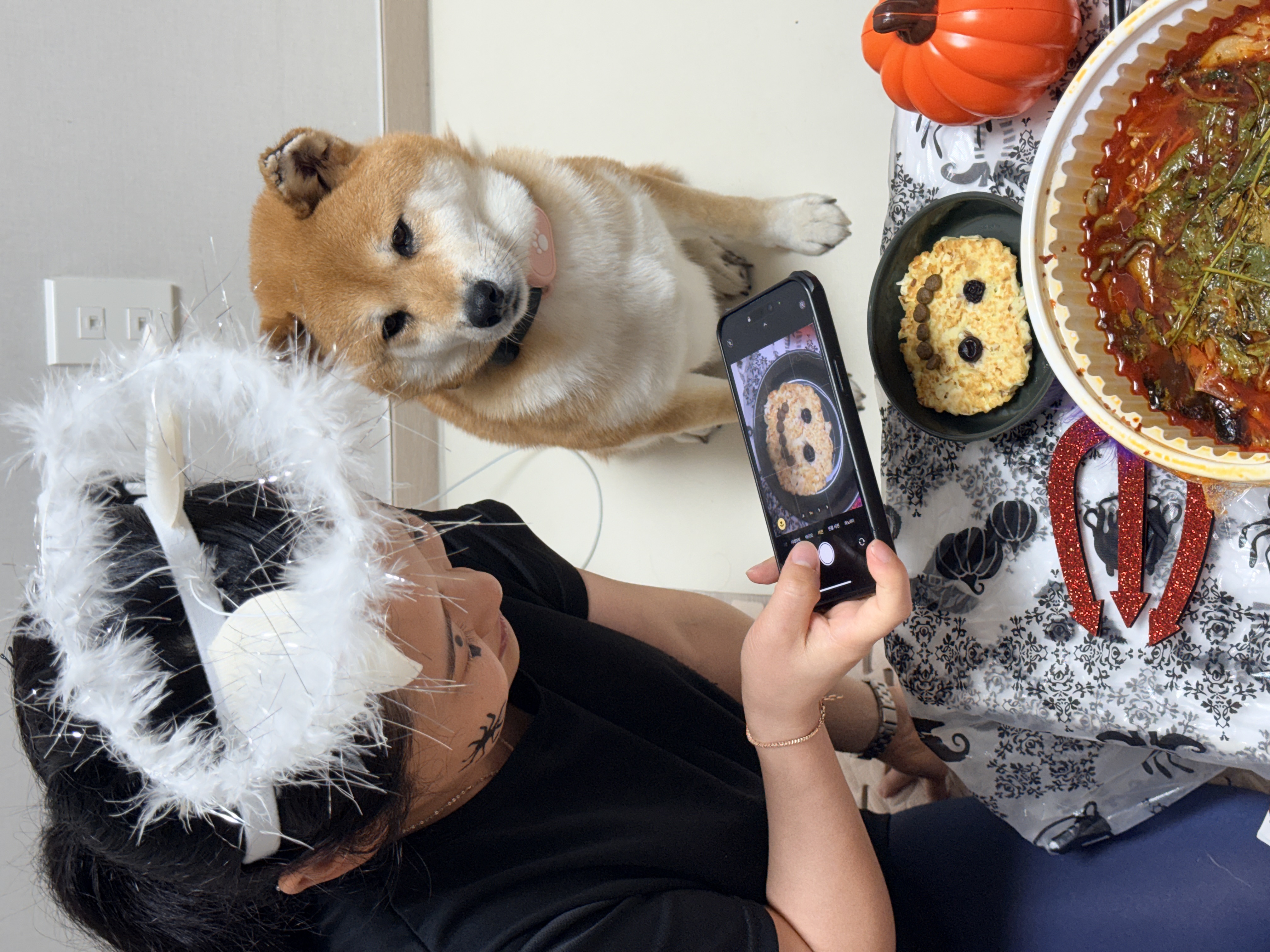 100일기념! 동배 입양 후기!!