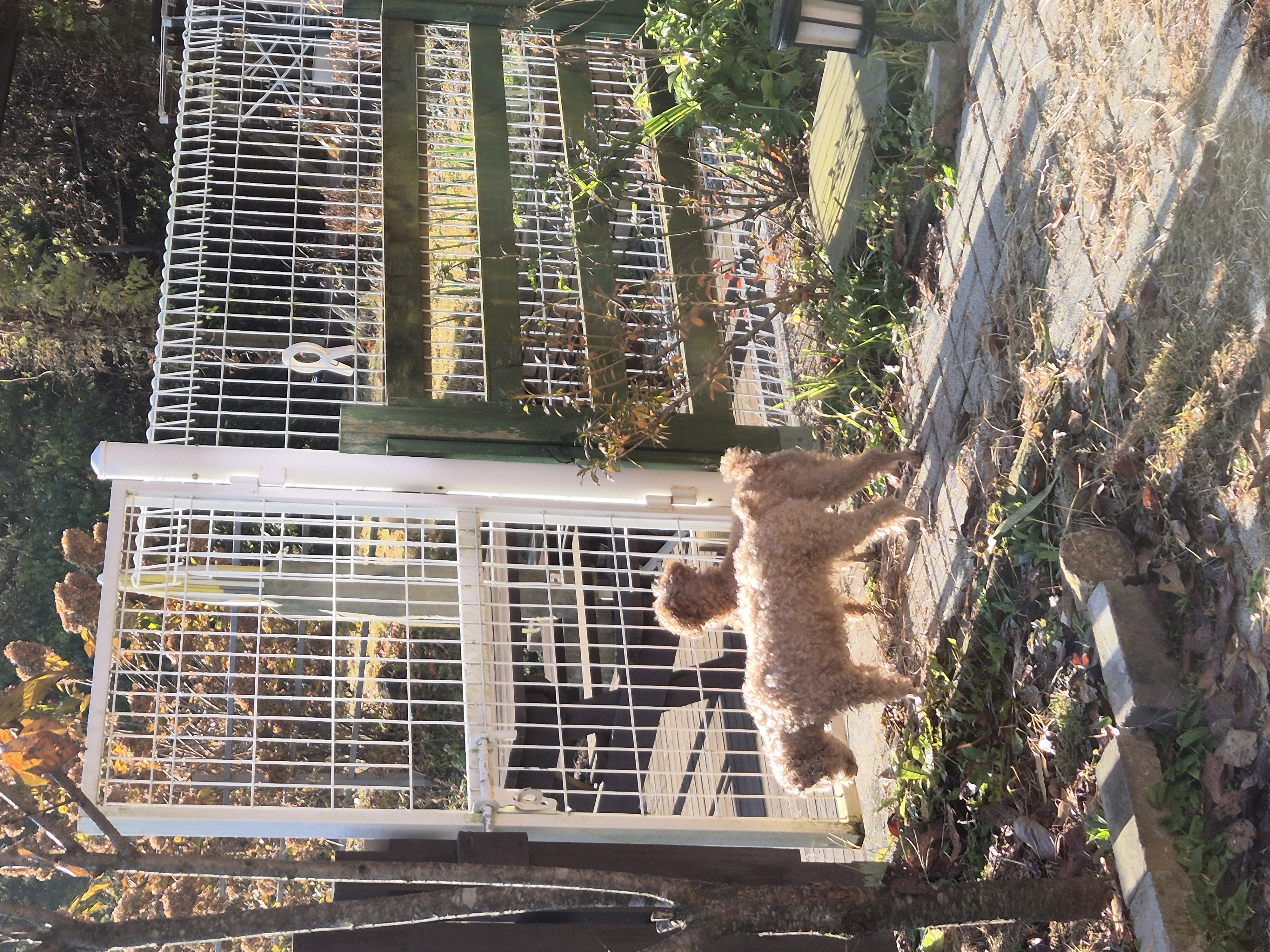 해랑이와 배순이