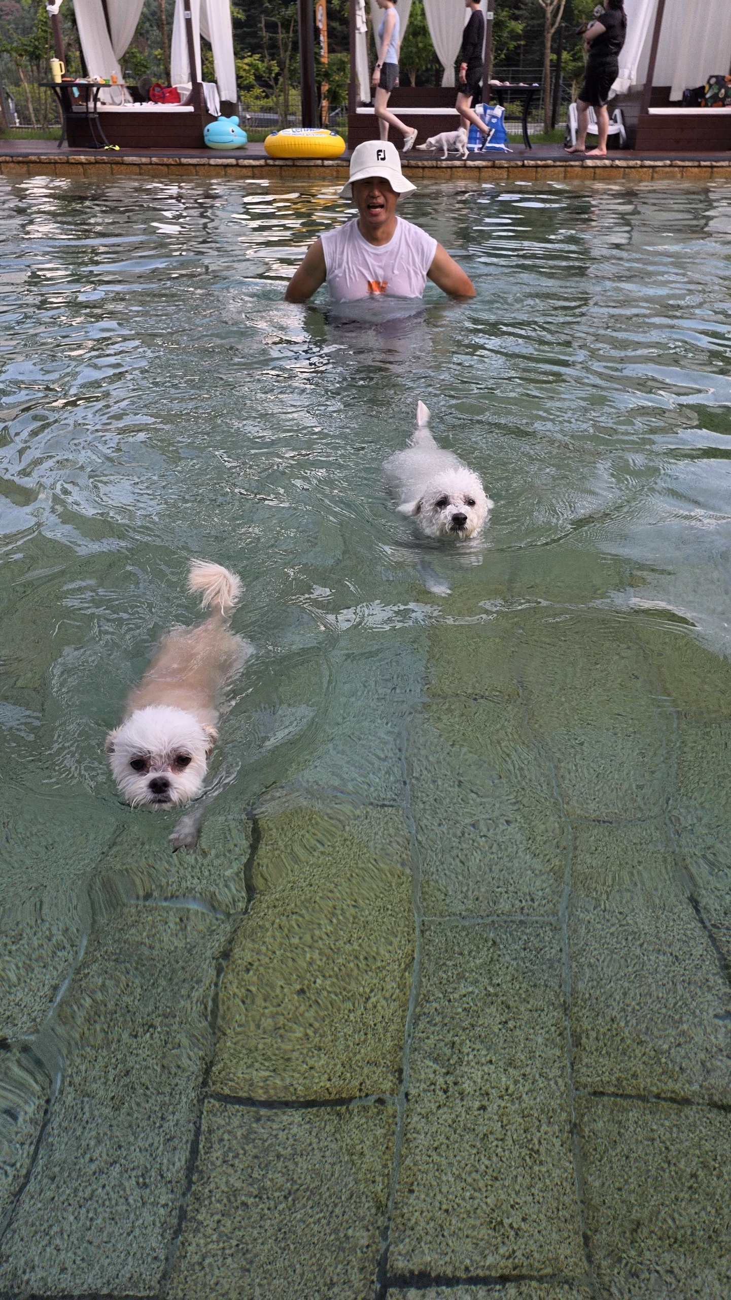 샤넬, 볼보 잘지내고 있어요~ ^^