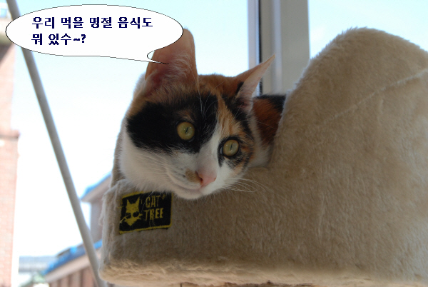 추석 명절 잘 지내시기를 바랍니다.