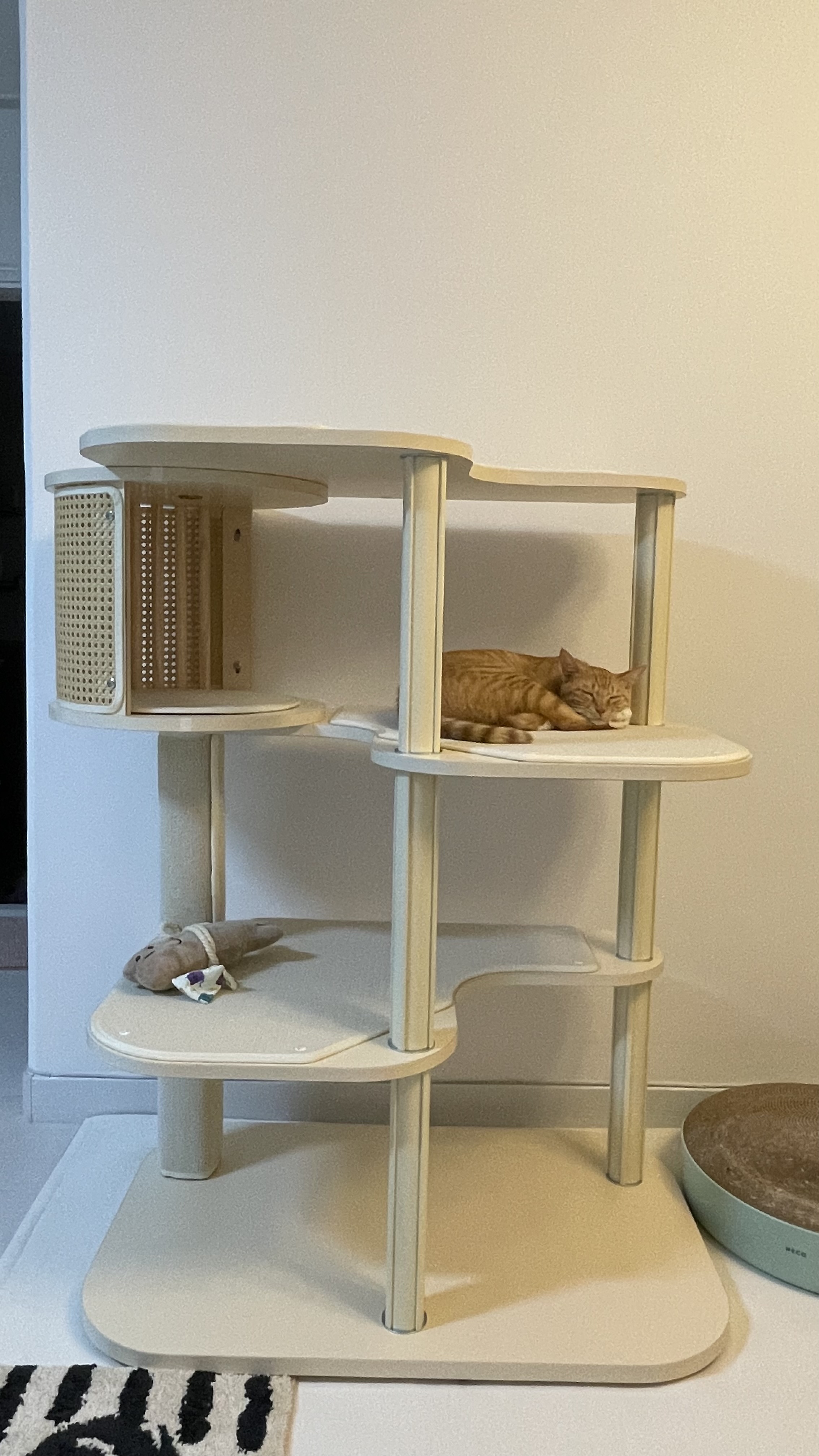 금비(다해) 일주일 후기