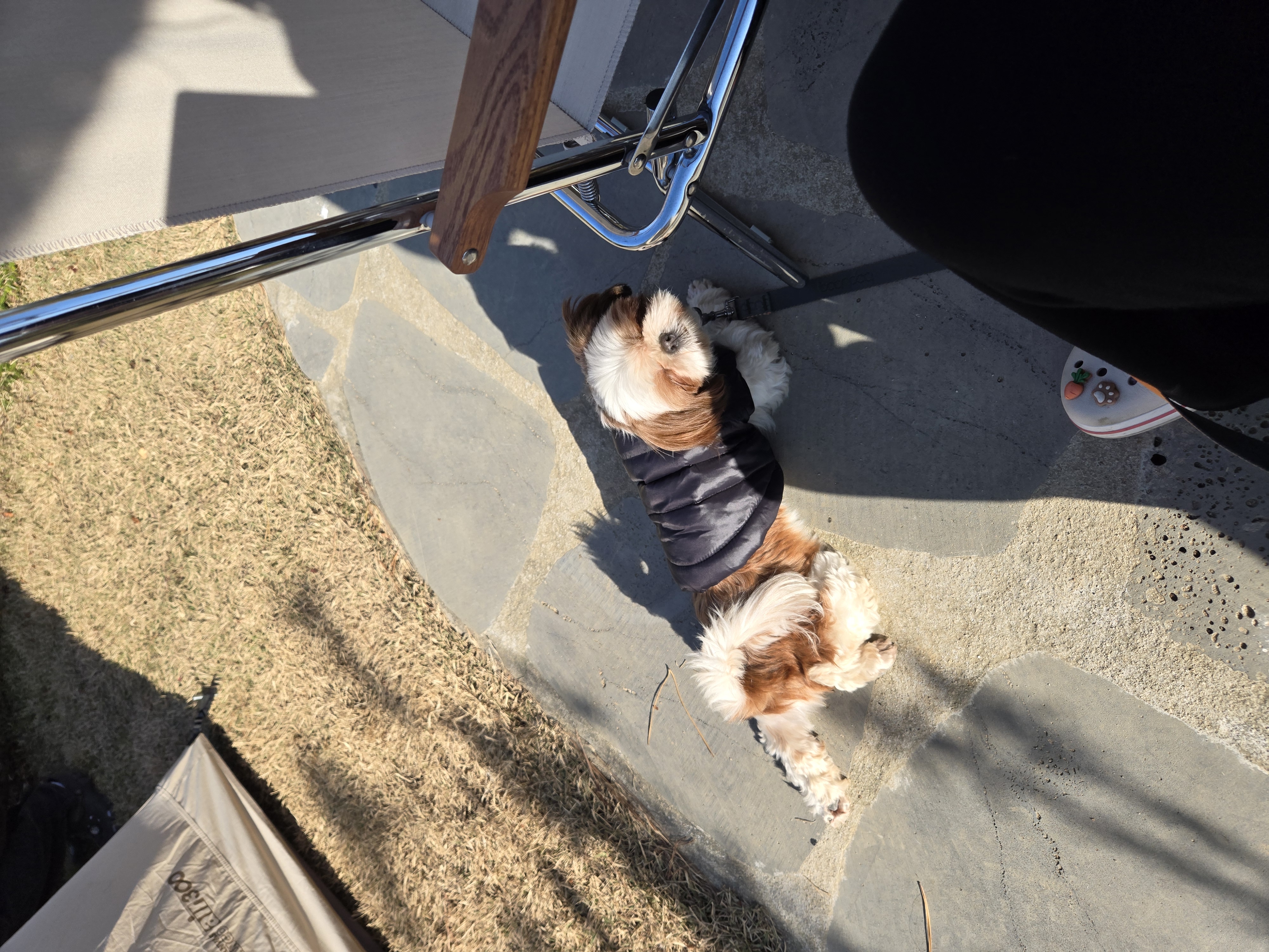 토리와 함께한 한달후기