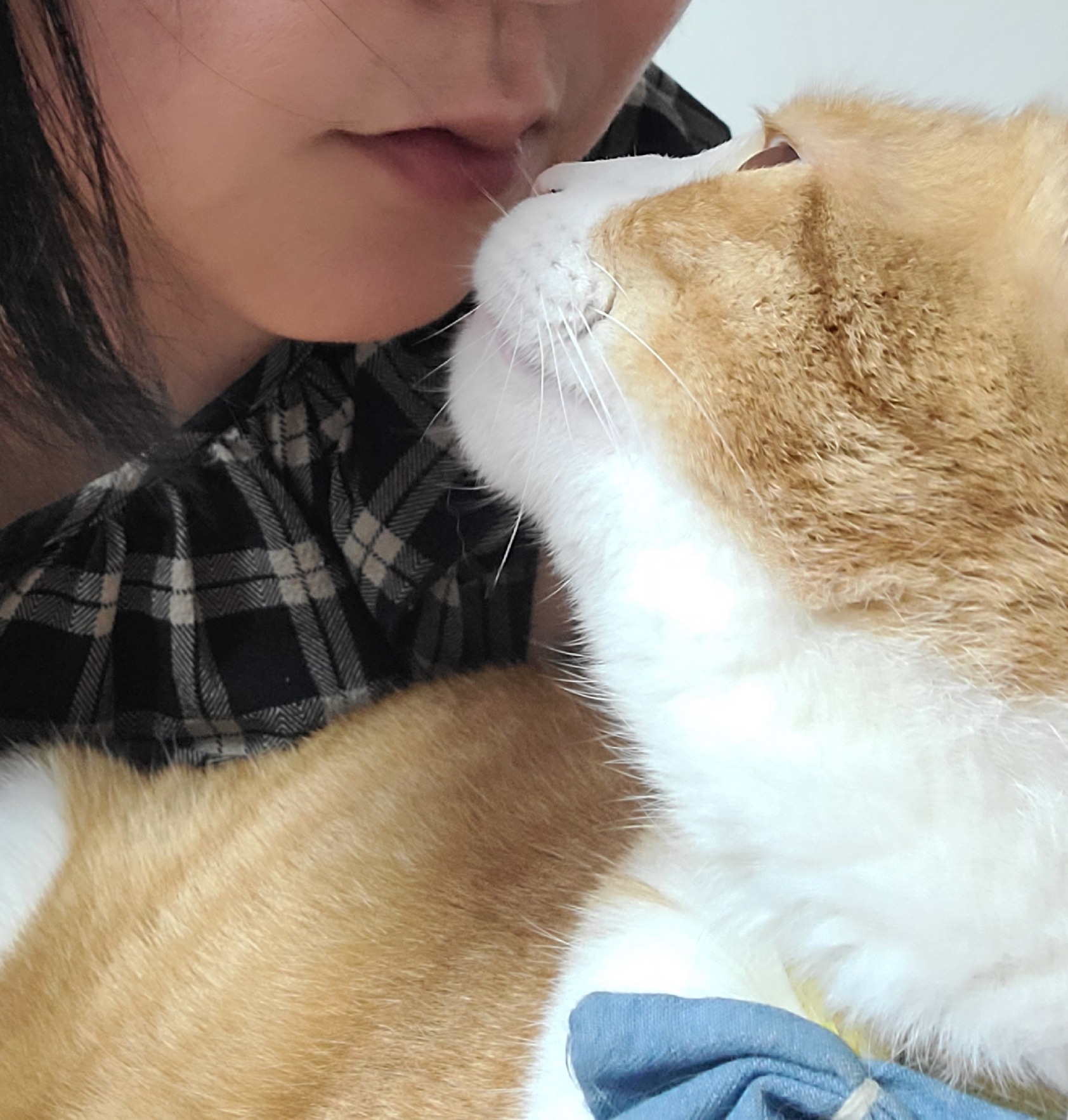 1년2개월후... 더 이뻐진 우리뀨리 