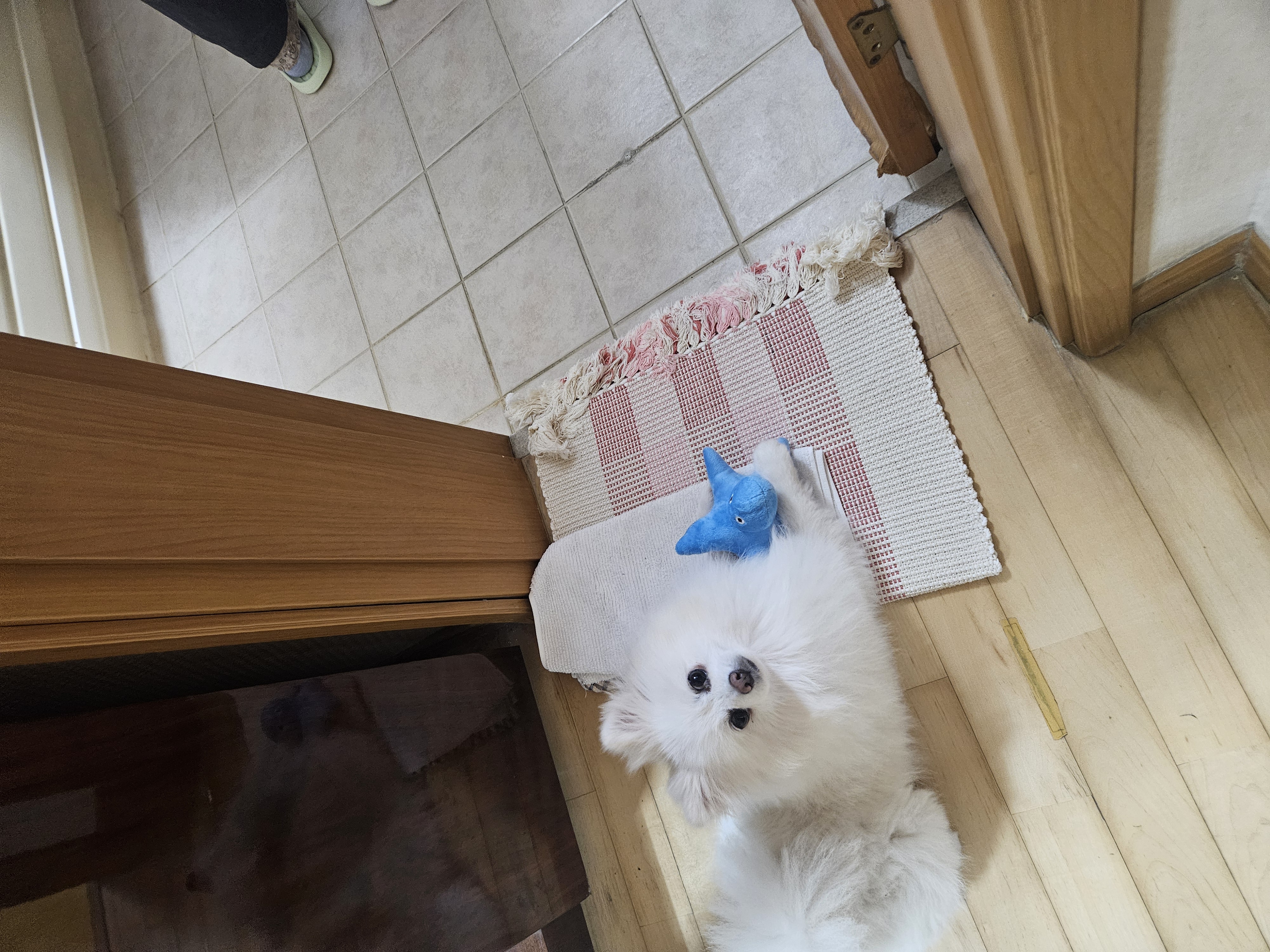 오키와의 일주일