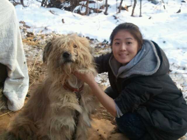 어미개와 새끼강아지들 입양처가 필요합니다.
