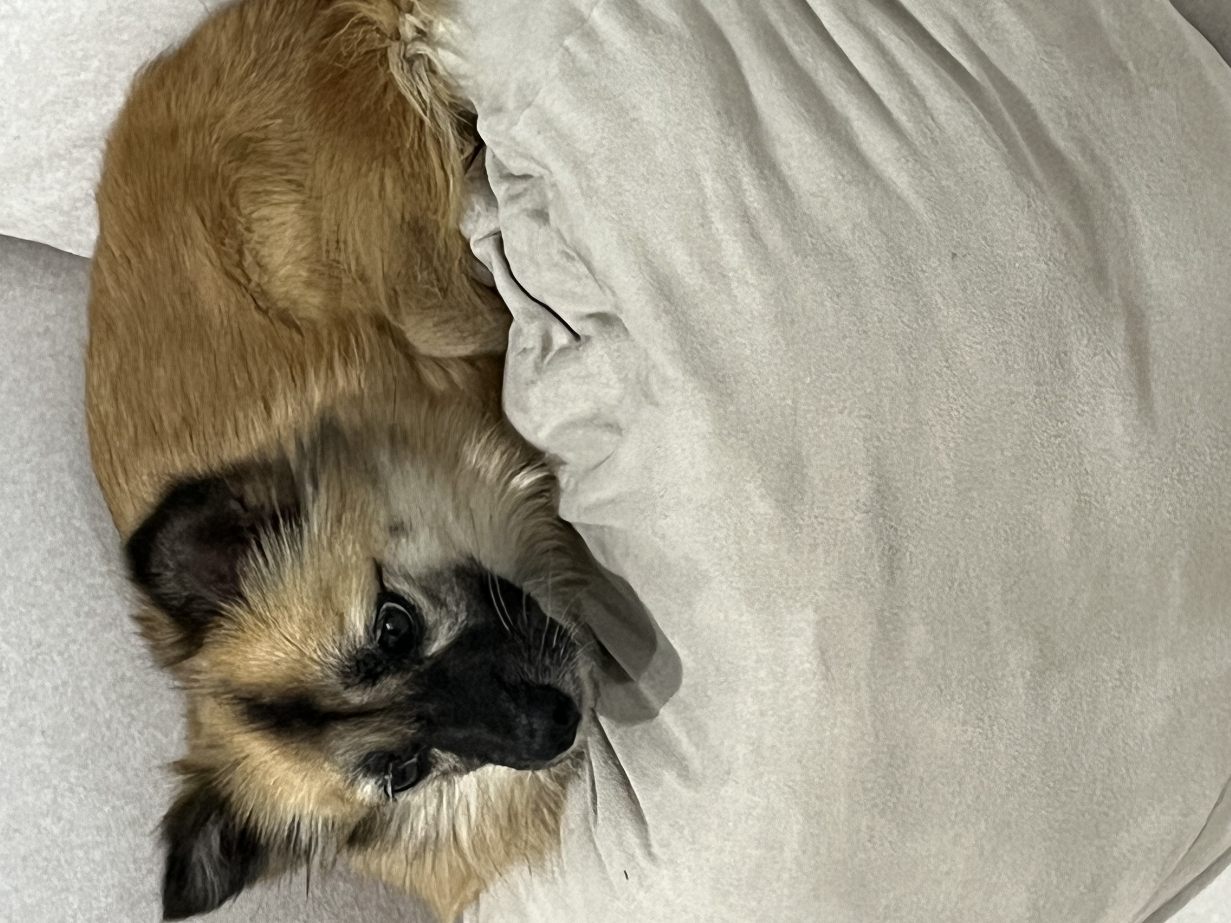 케일이의 첫 집생활