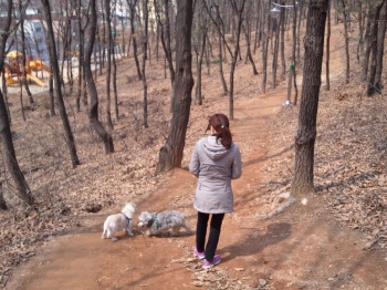 &#49804;돌과 쥬디~