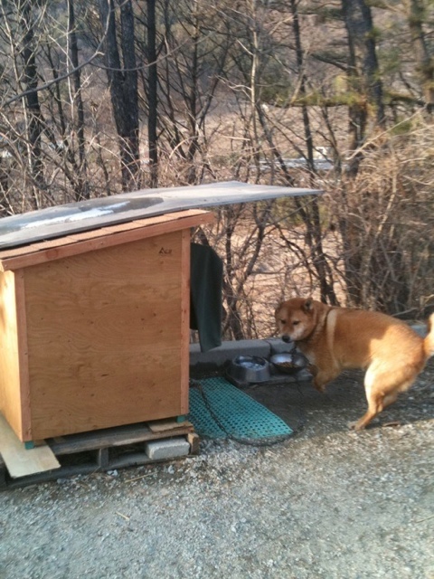 순돌