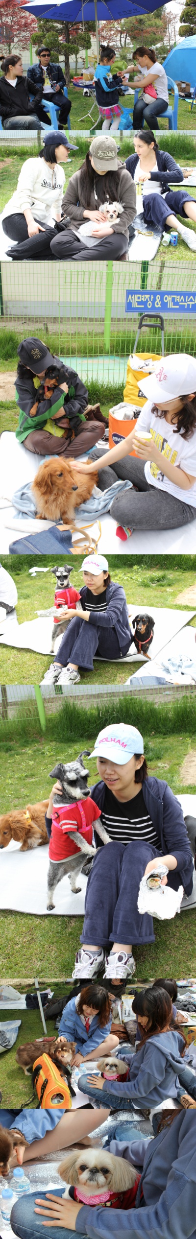 입양동물의날행사 7편 - 함께해주신분들