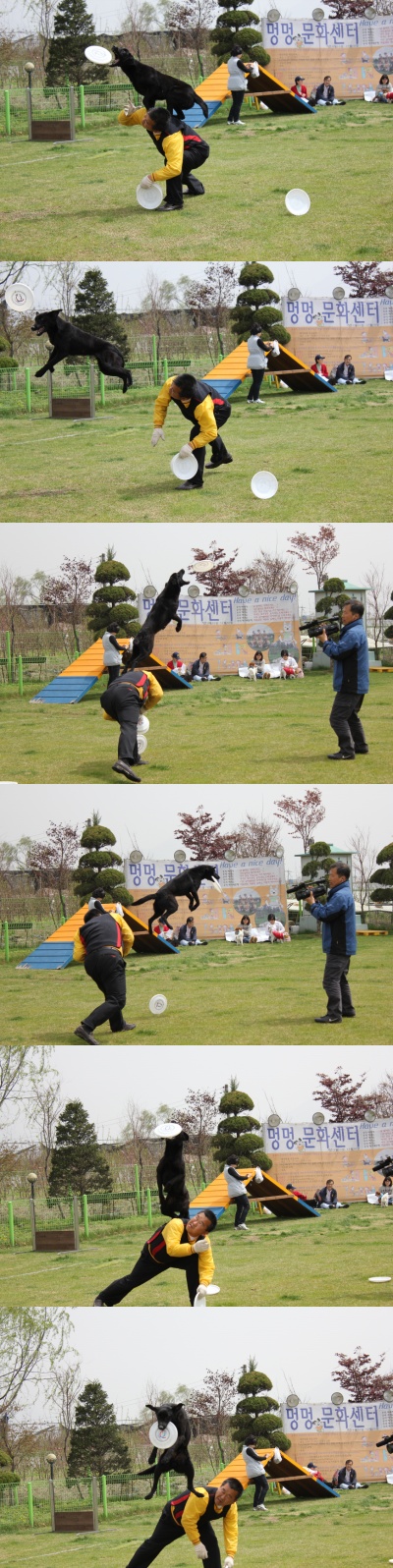 입양동물의날행사 1편 - 원반던지기