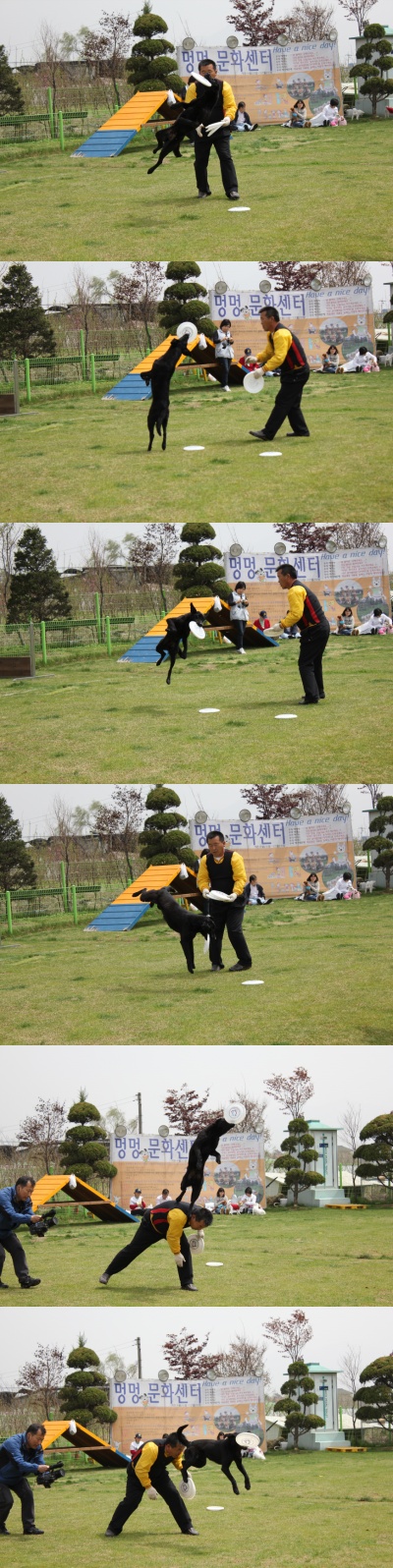 입양동물의날행사 1편 - 원반던지기